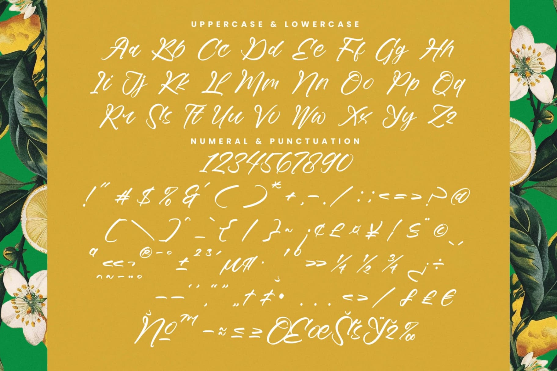 Preview 18 for Mindful Angelic - Modern Elegant Handwritten