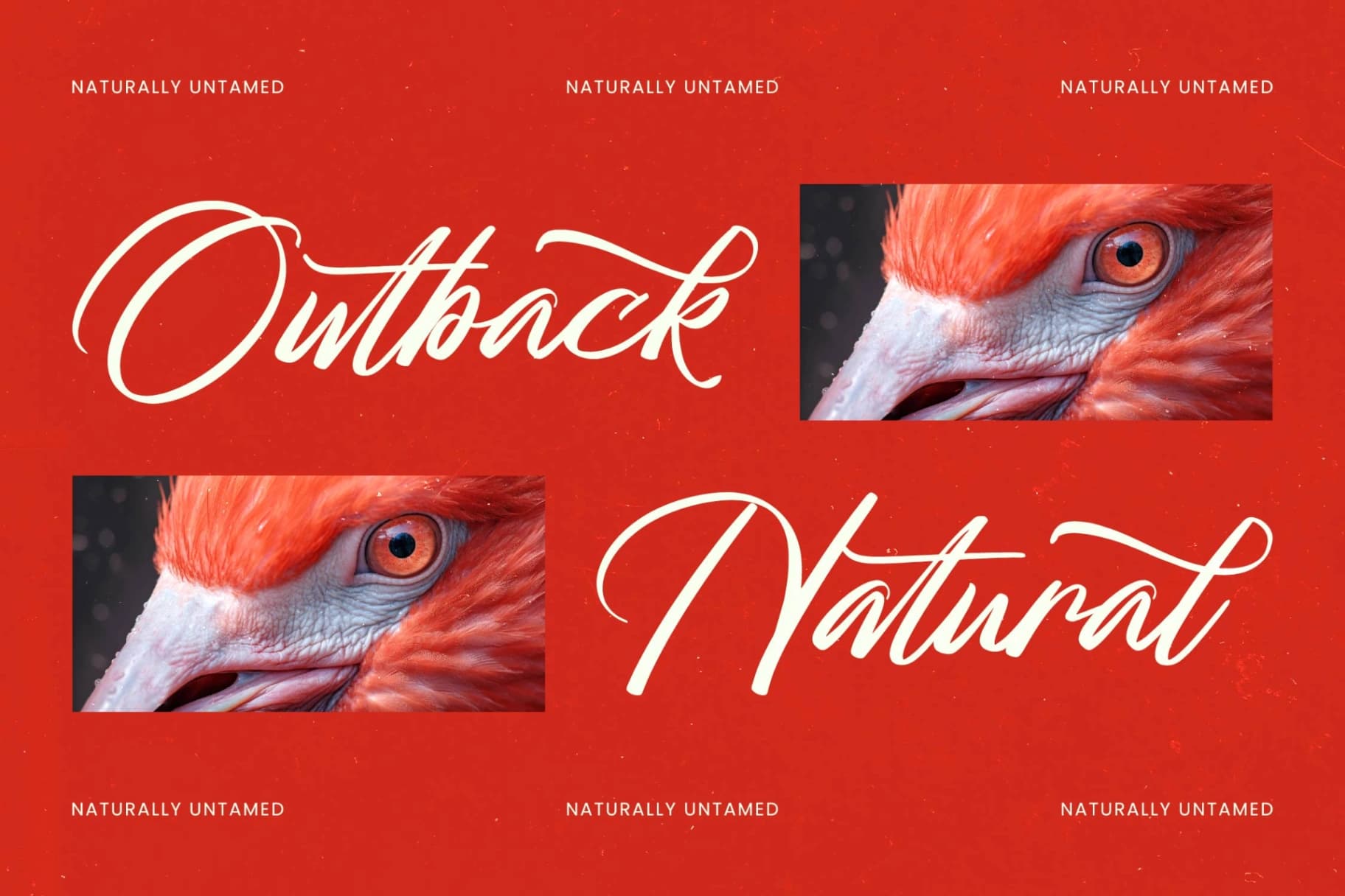 Preview 2 for Mhantik Studyla - Bold Brush Font