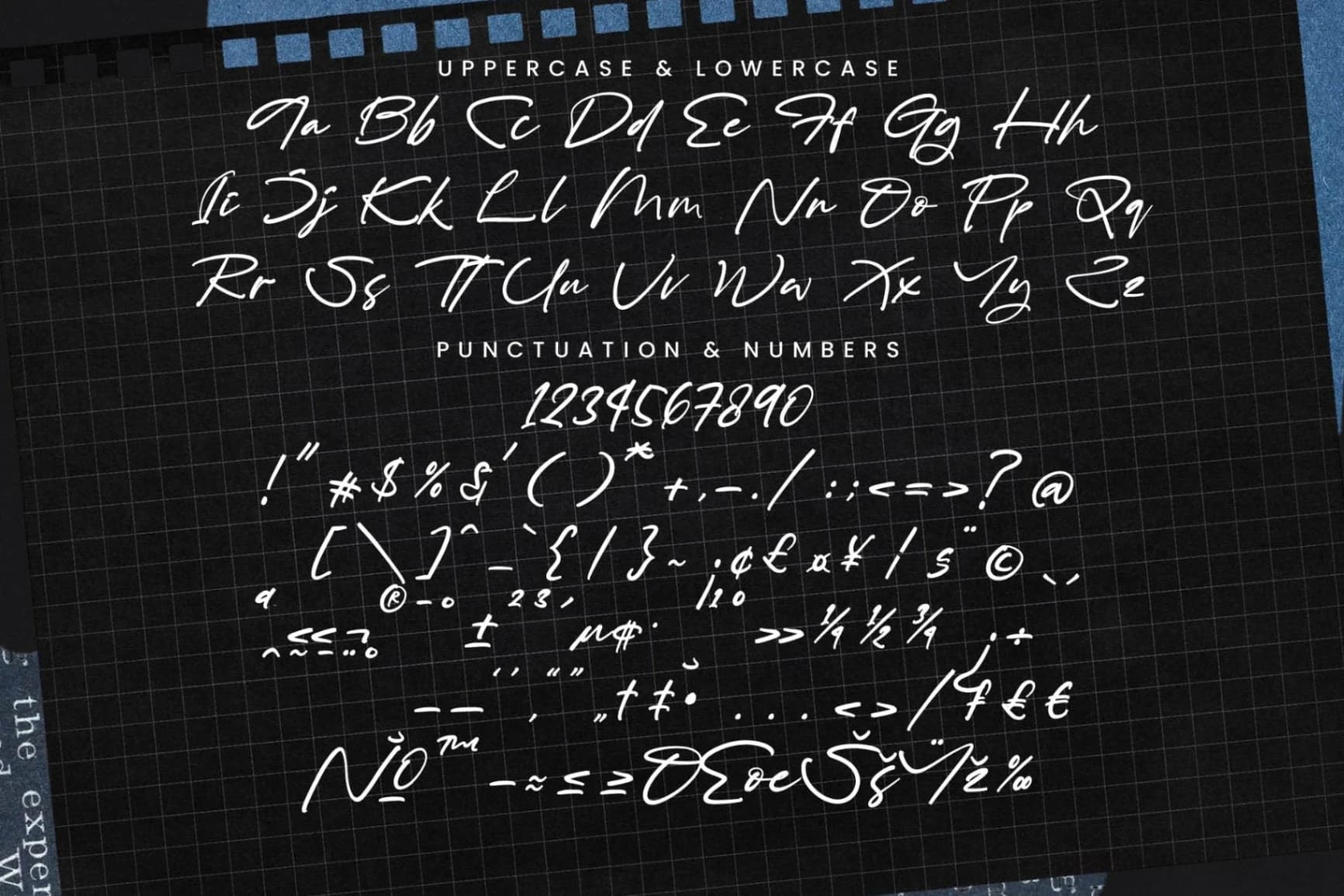 Preview 19 for Rituals Trailer - Modern Brush Script