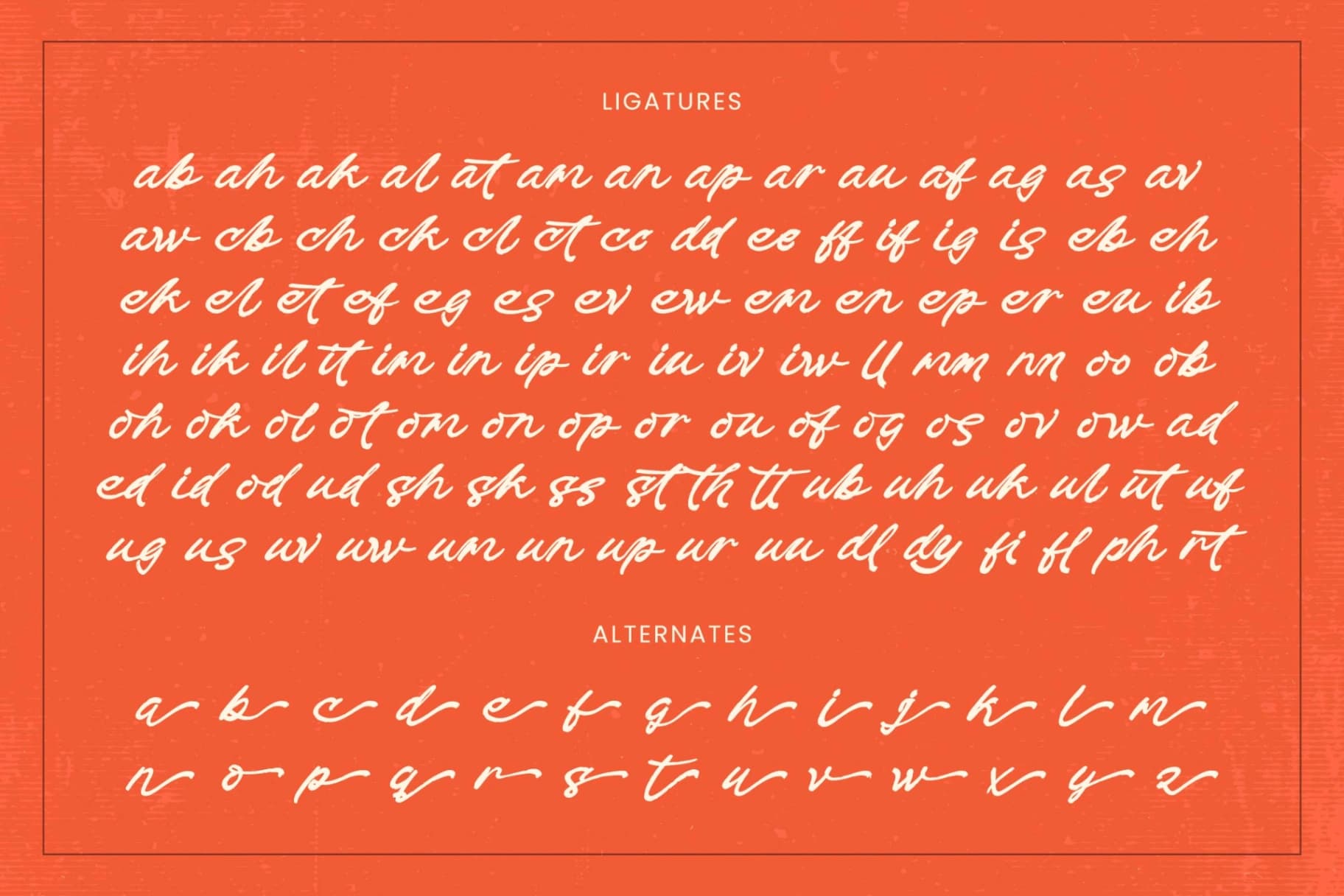 Preview 19 for Check Unite - Modern Brush Font