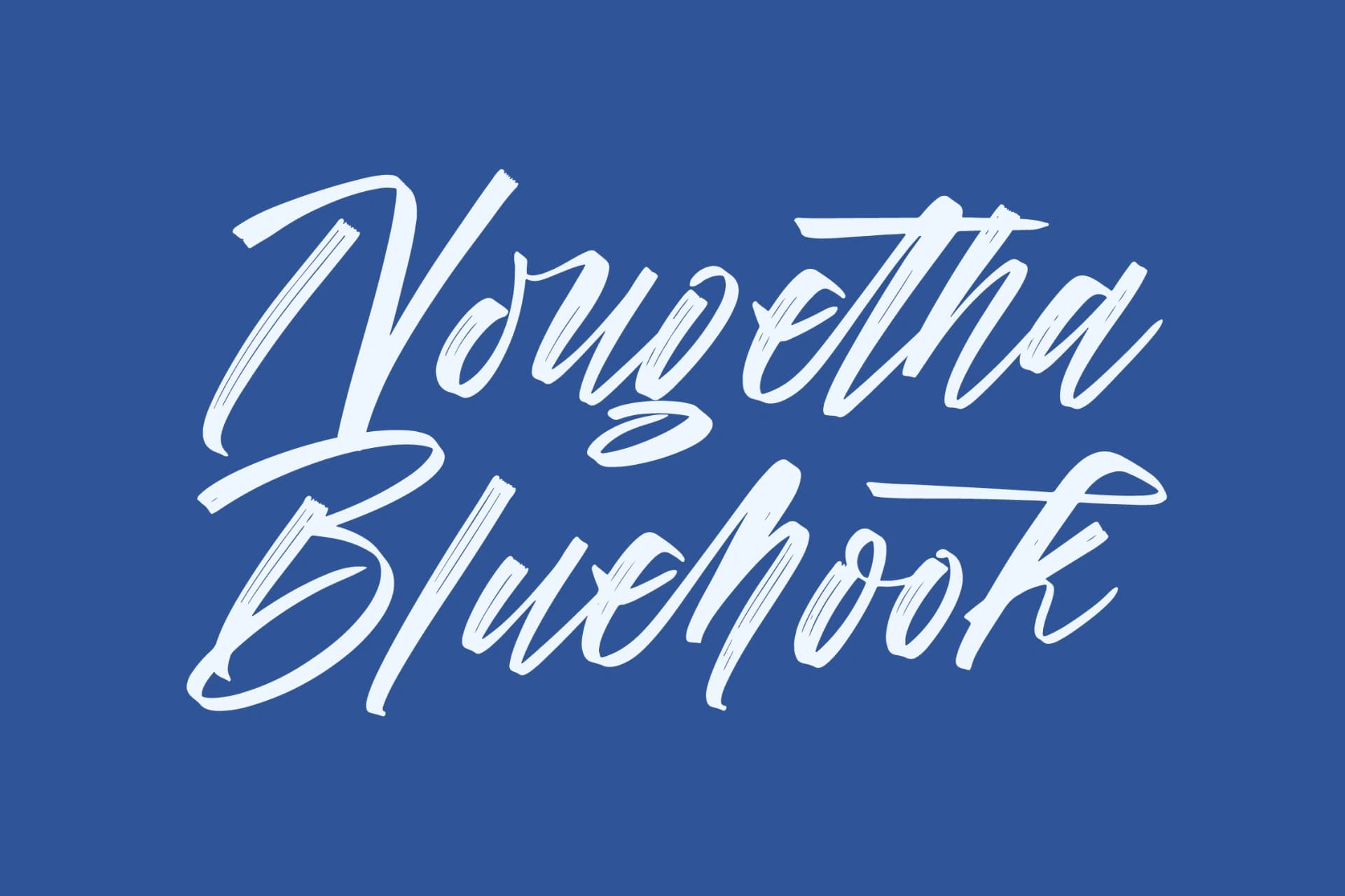 Preview 13 for Vichellen Jordan - Modern Brush Font