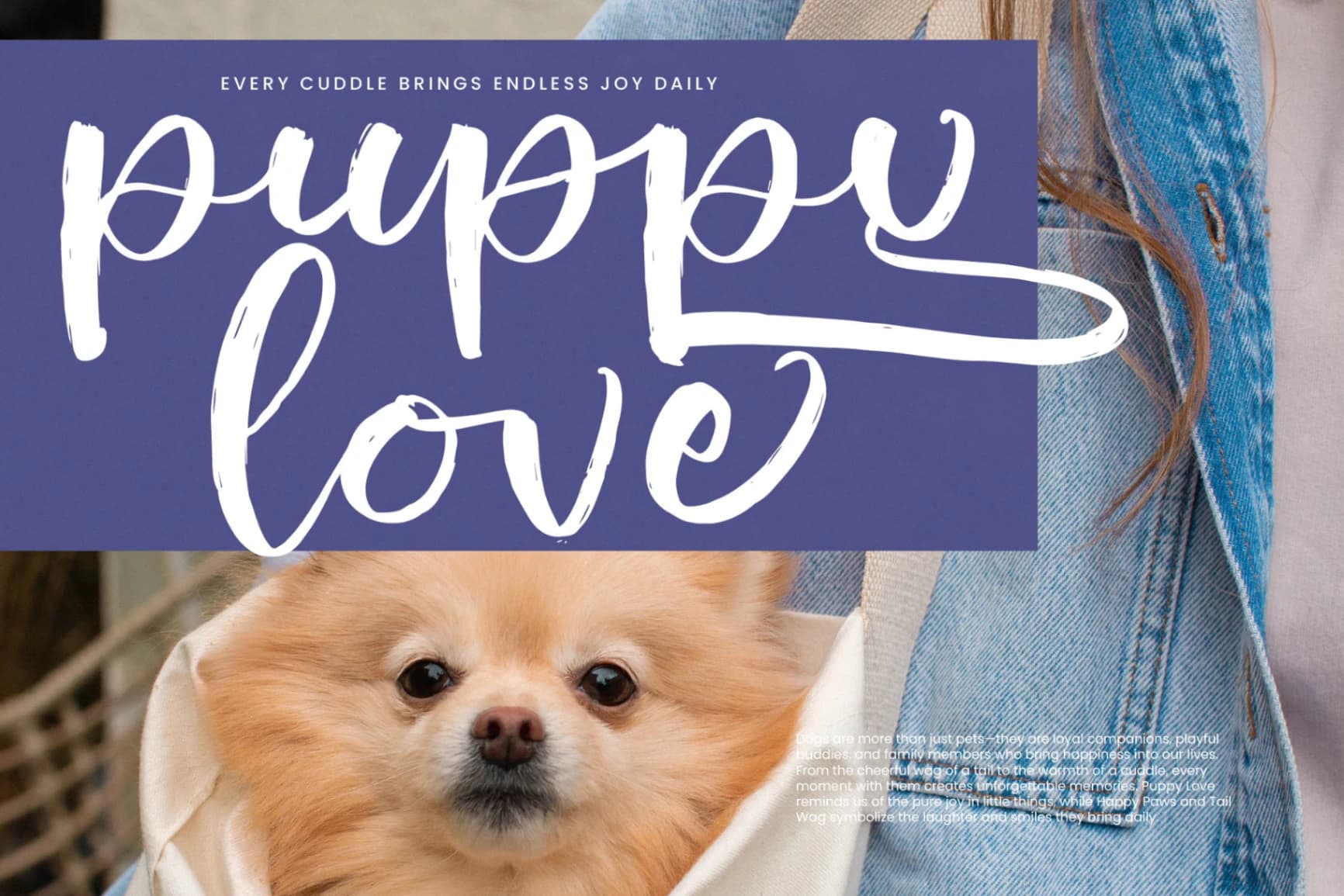 Preview 11 for Shiny Cottage - Modern Handbrush Script