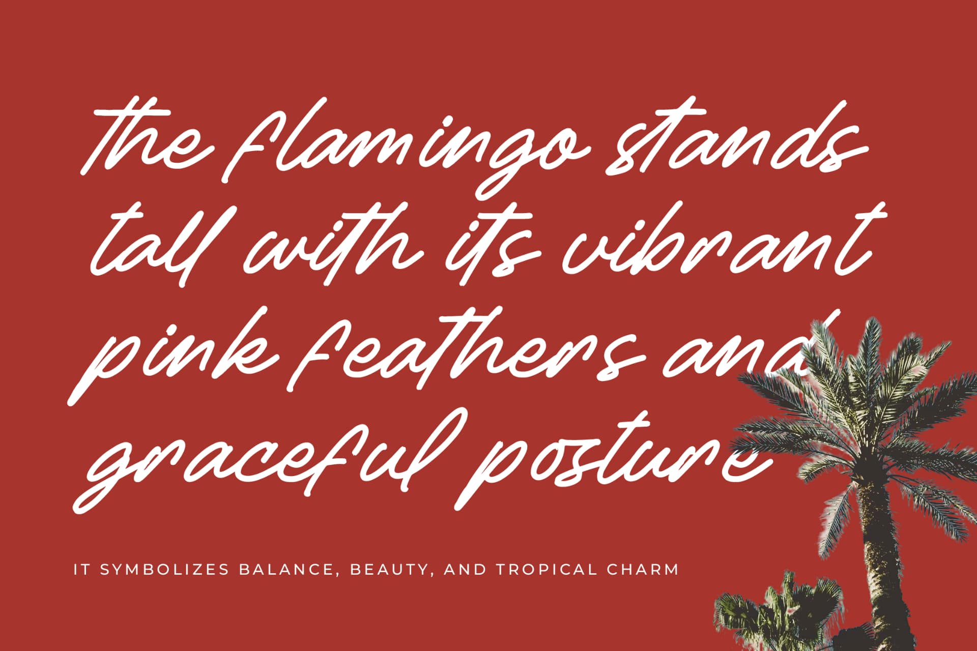 Preview 10 for Betany Salena - Monoline Brush Font