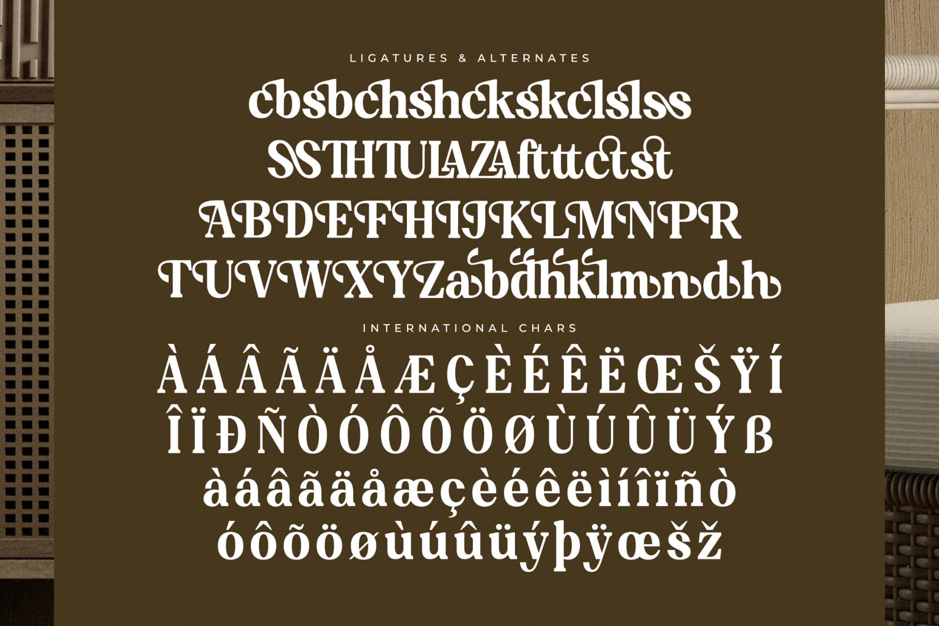 Preview 14 for Braden - Modern Serif Font