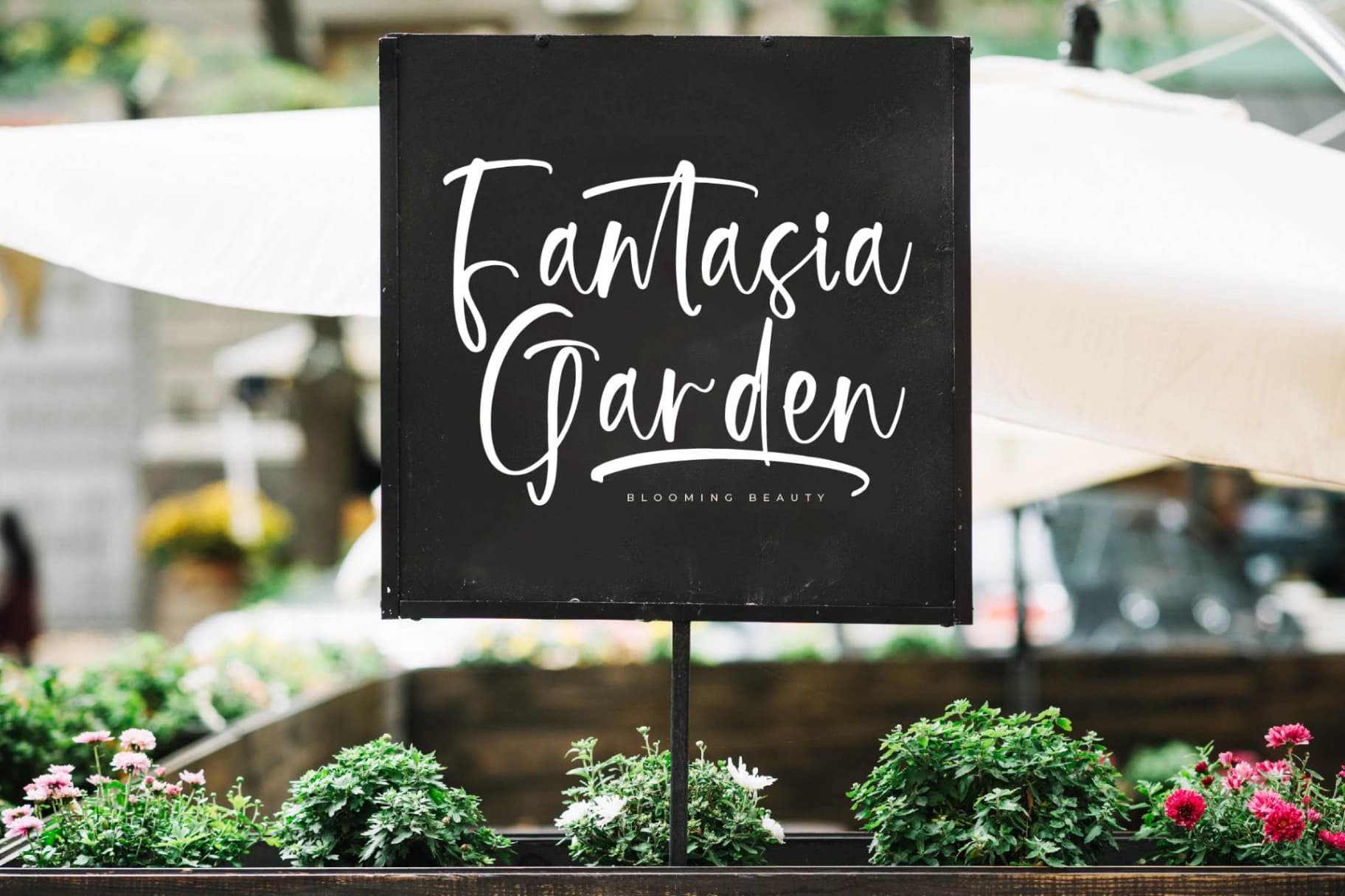 Preview 11 for Mystical Sunlight – Modern Handwritten Font