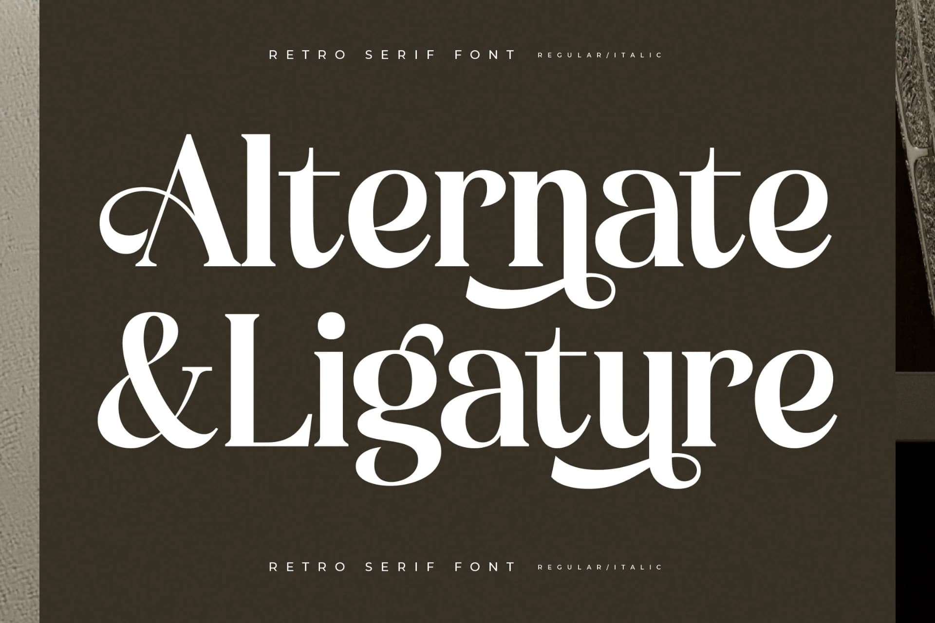 Preview 8 for Miguales - Modern Alternate Serif