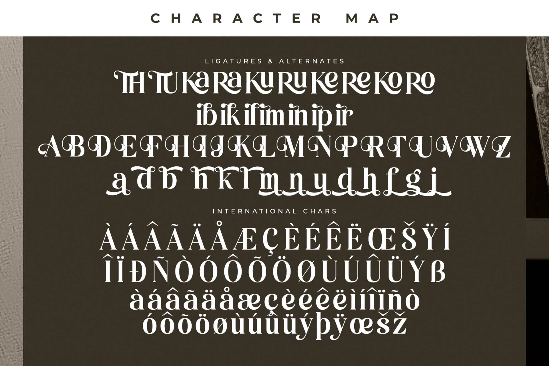 Preview 14 for Miguales - Modern Alternate Serif