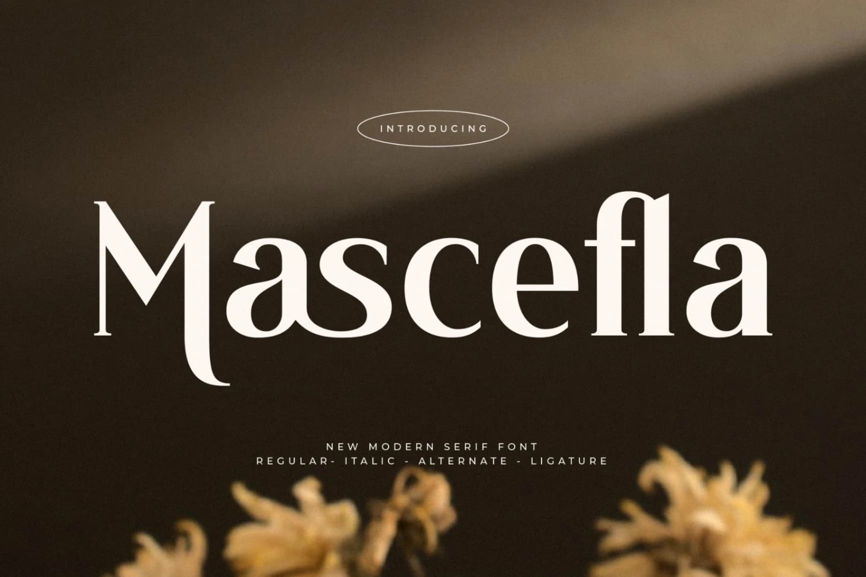 Preview of Mascefla – New Modern Serif Font font