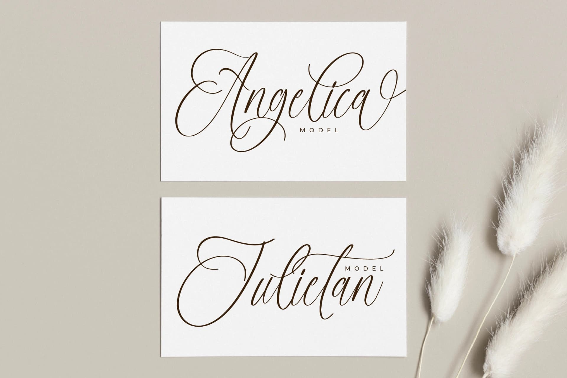 Preview 3 for Adofellins Barlinestya – Beauty Modern Script