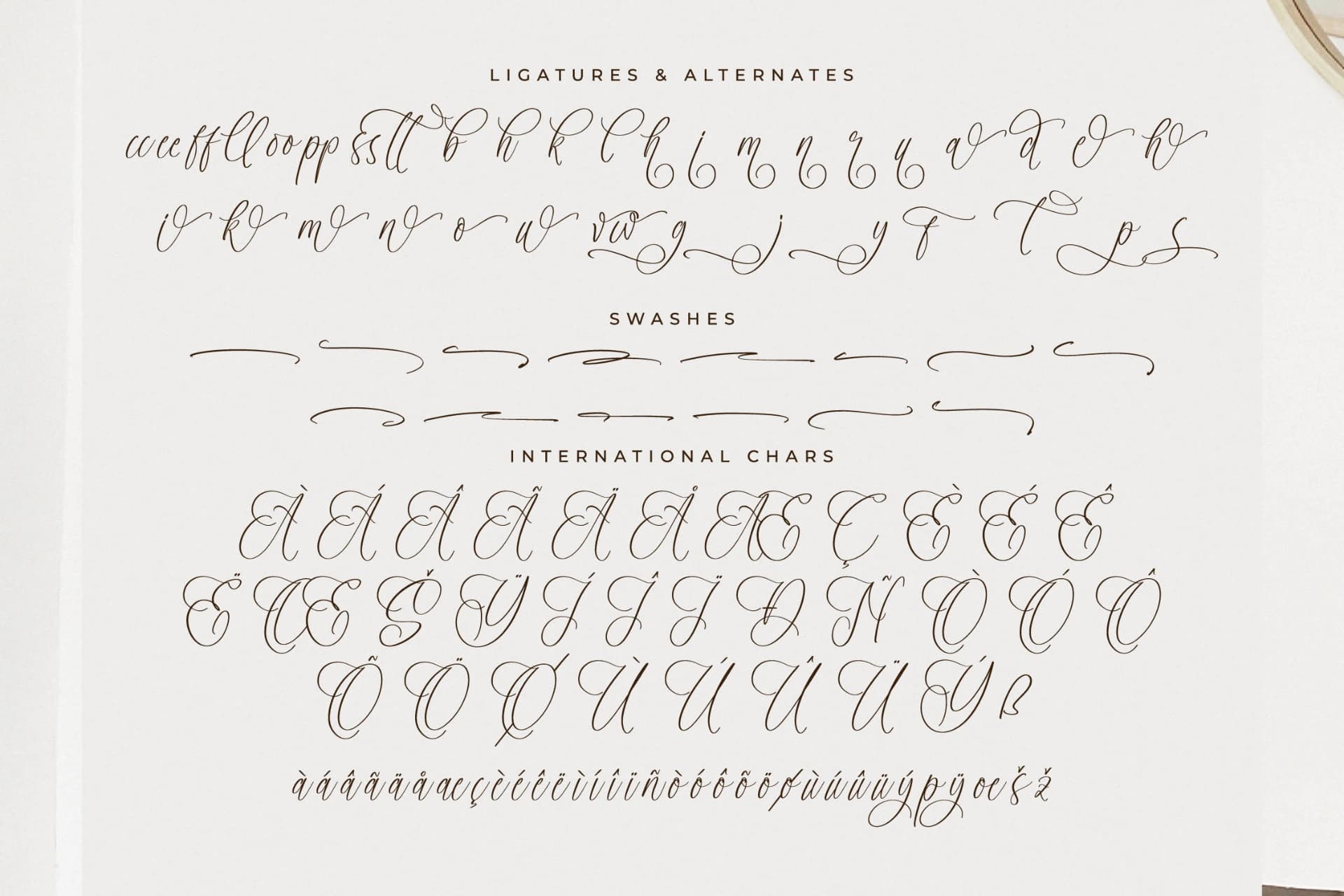 Preview 14 for Adofellins Barlinestya – Beauty Modern Script