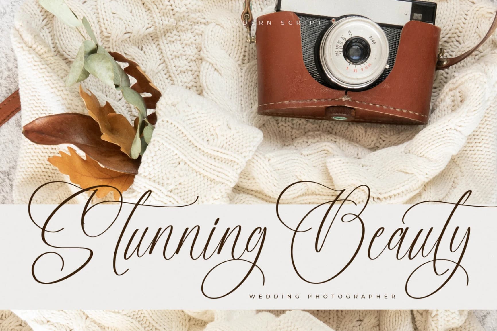Preview 7 for Adofellins Barlinestya – Beauty Modern Script
