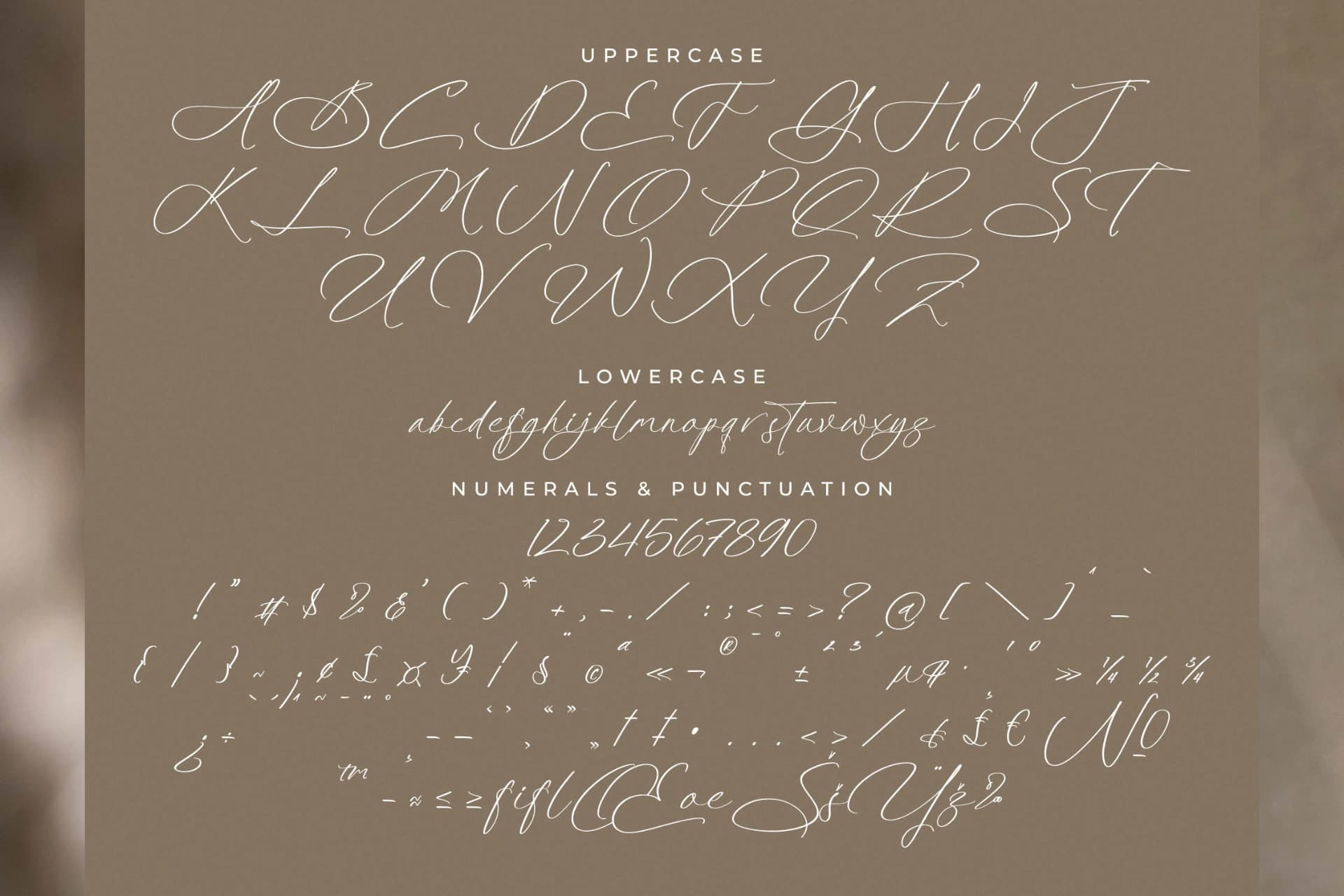 Preview 13 for Platimye – Stylish Signature Font
