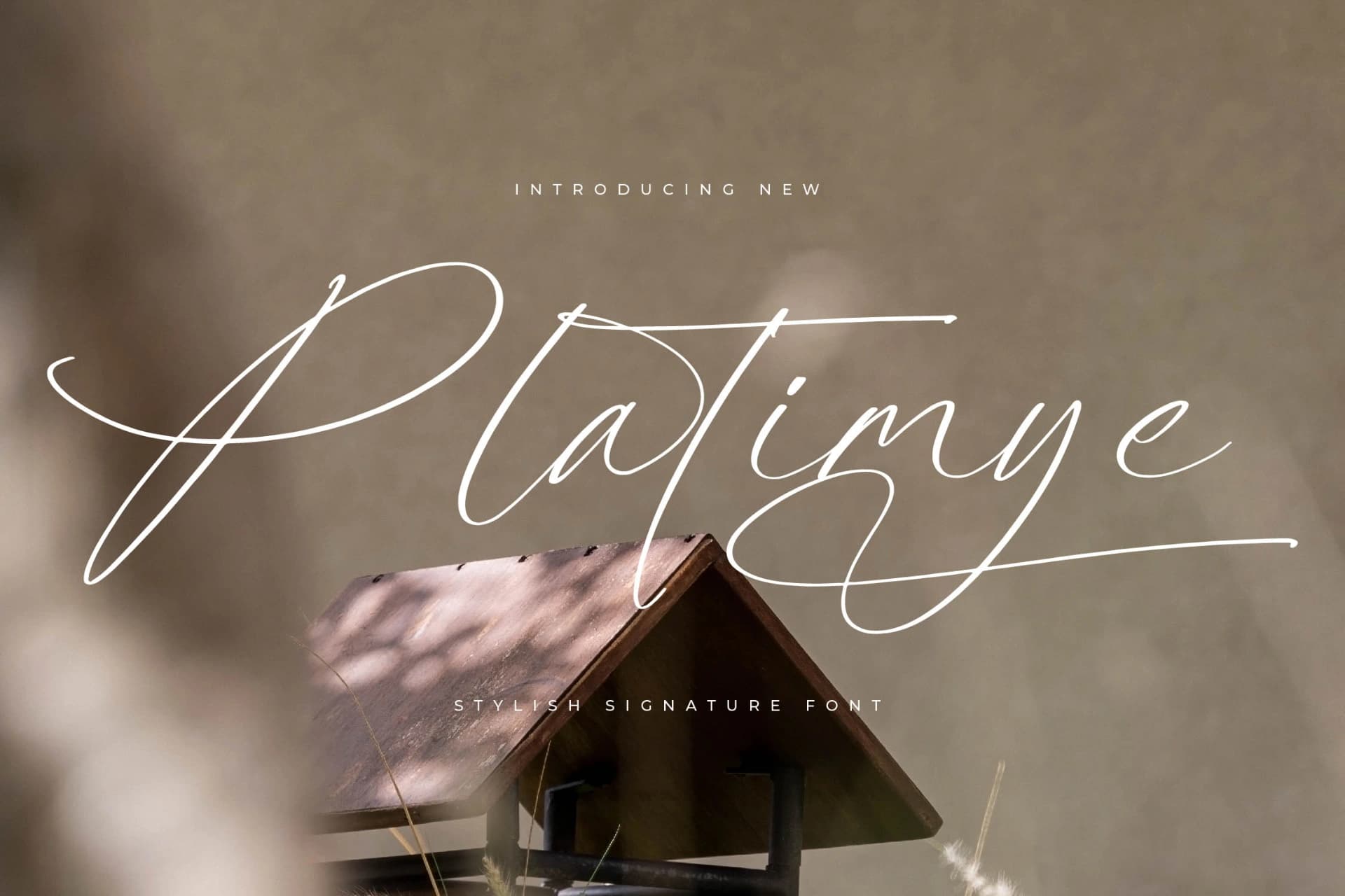 Preview of Platimye – Stylish Signature Font font