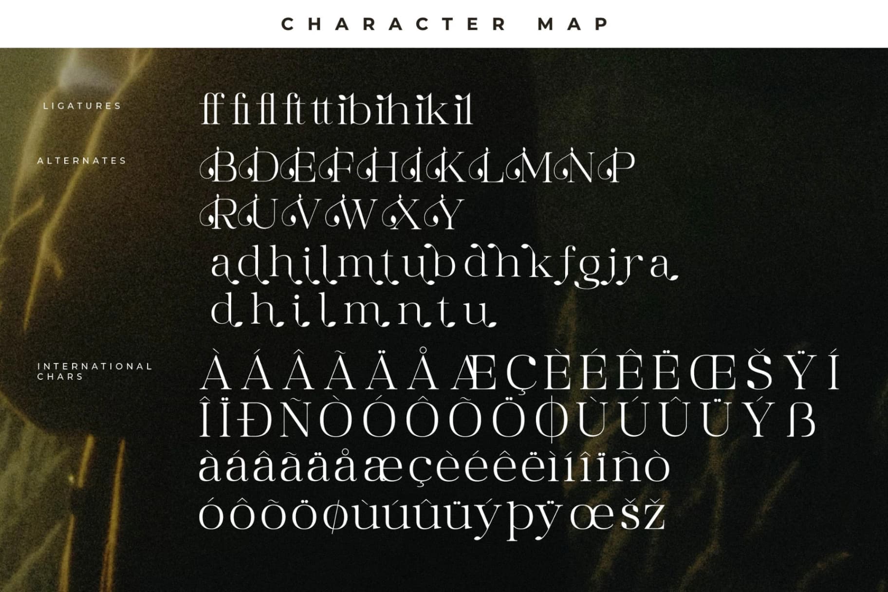 Preview 14 for Maiken – Modern Stylish Font