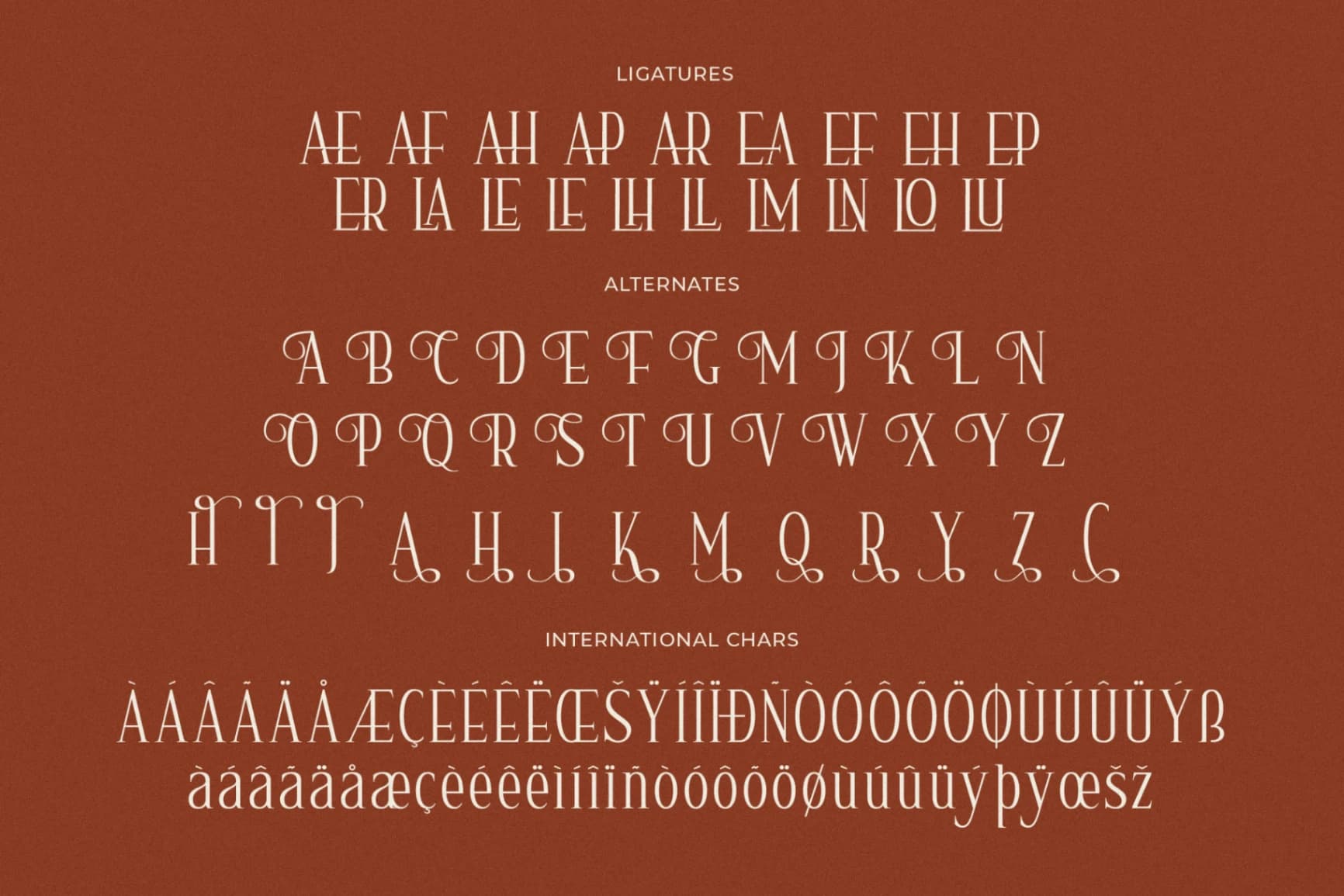 Preview 14 for Nerhole – Modern Serif Font