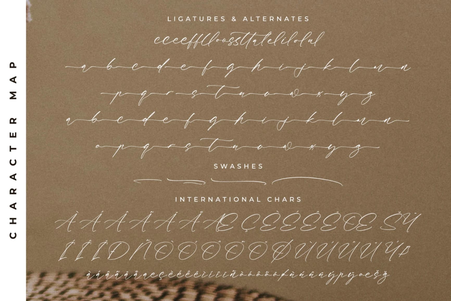Preview 14 for Fasttelo Engelliy – Modern Elegant Script