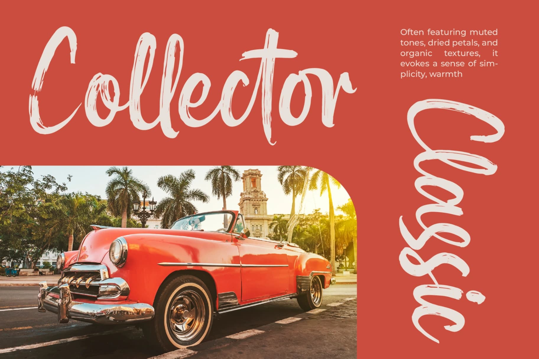 Preview 9 for Mayory Overlag - Bold Brush Font