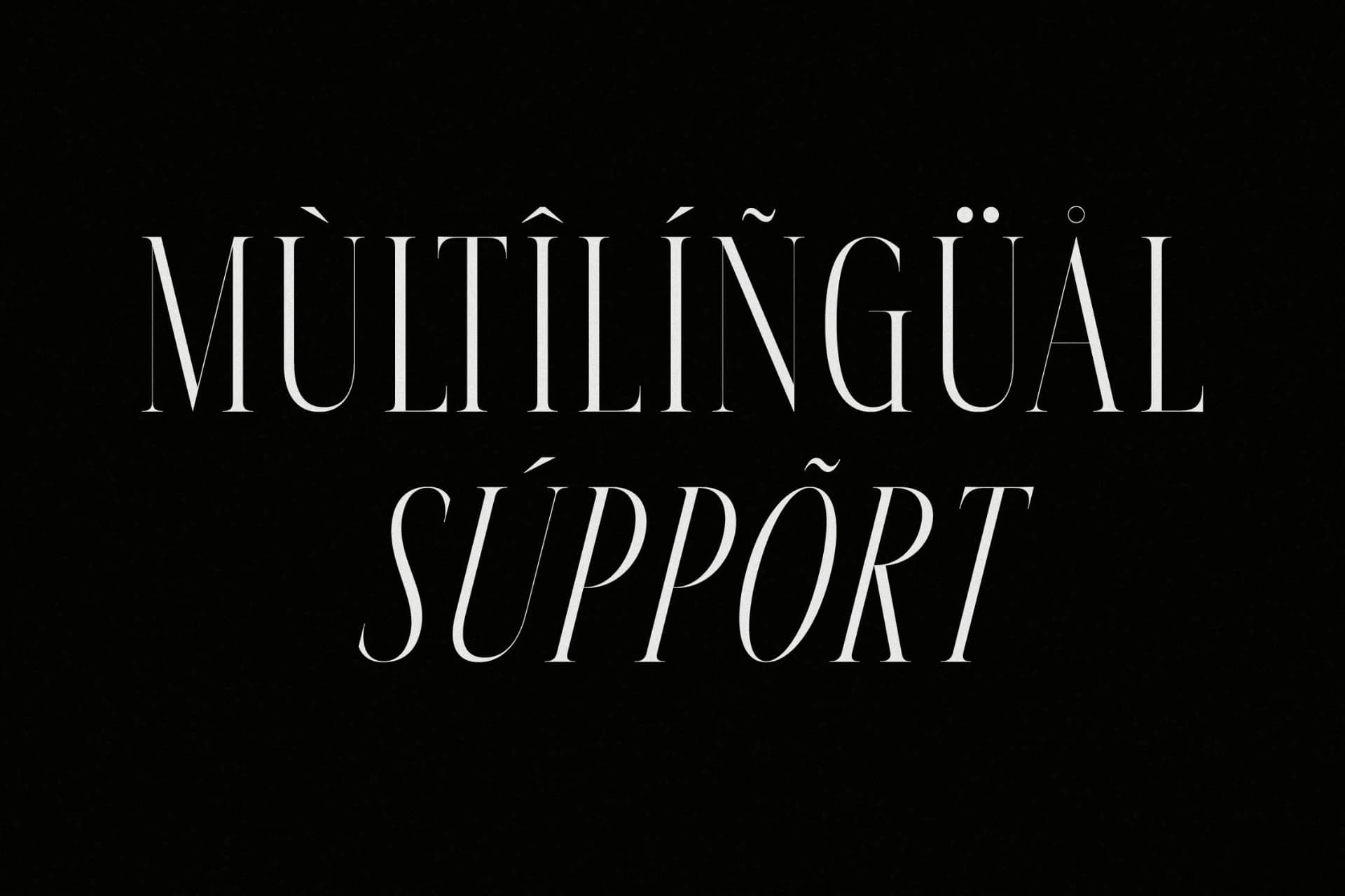 Preview 12 for Meksron – Modern Serif Font