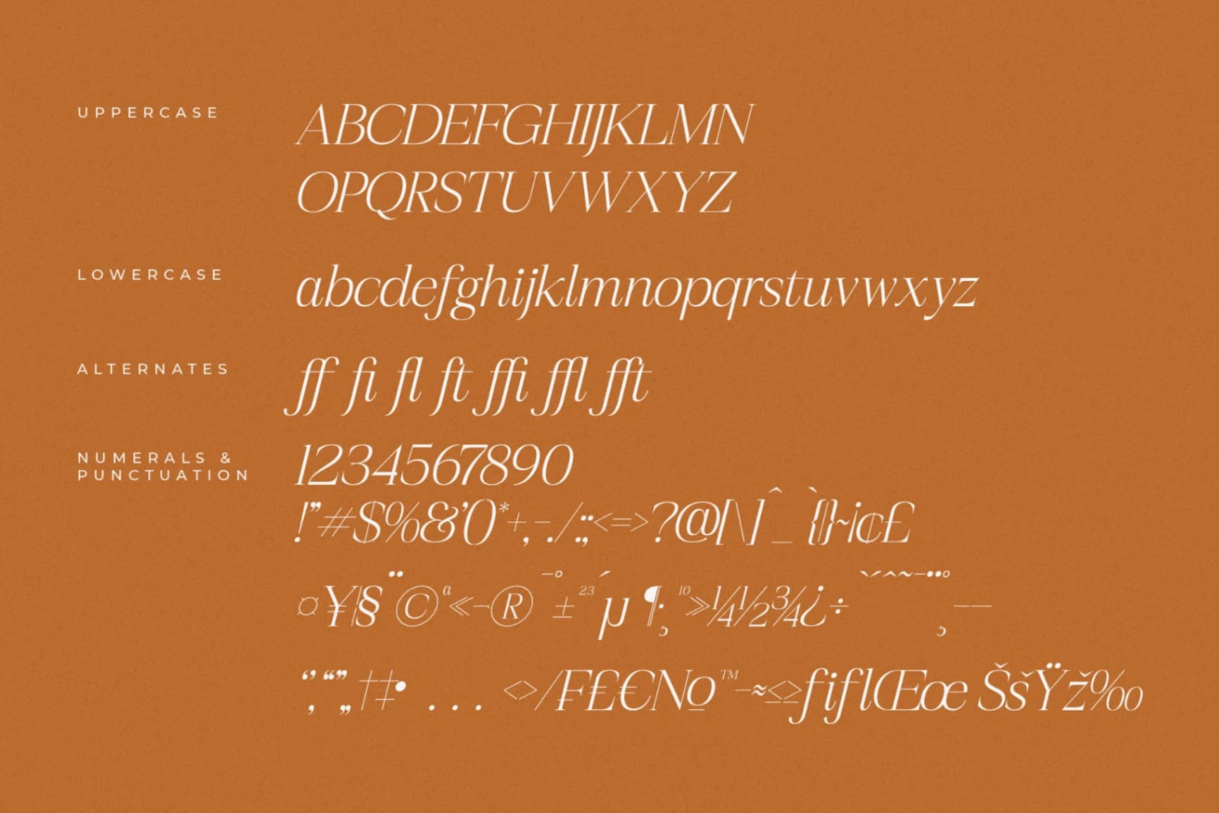 Preview 14 for Realife Moment – Modern Serif Font