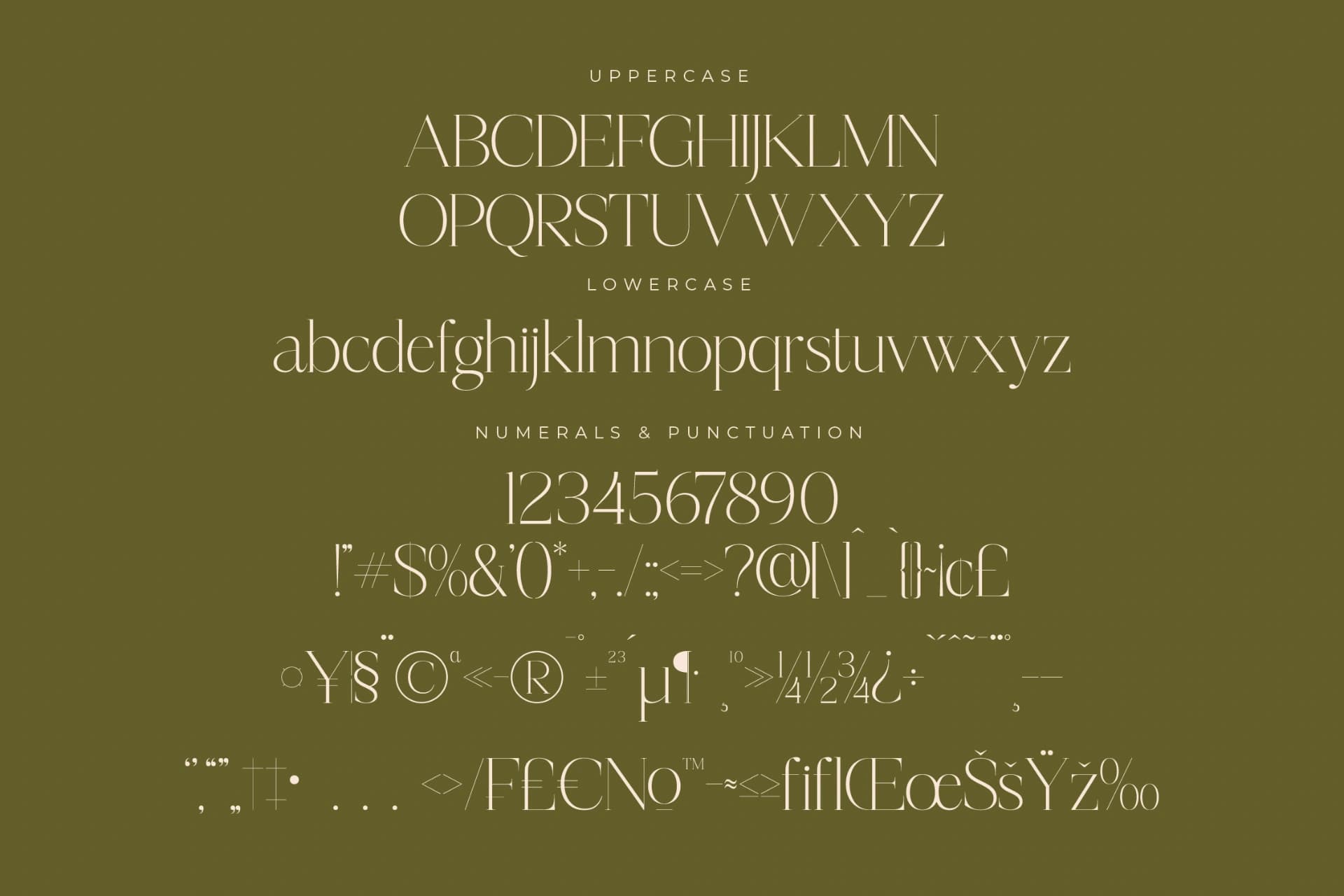 Preview 13 for Mosbian – Modern Serif Font