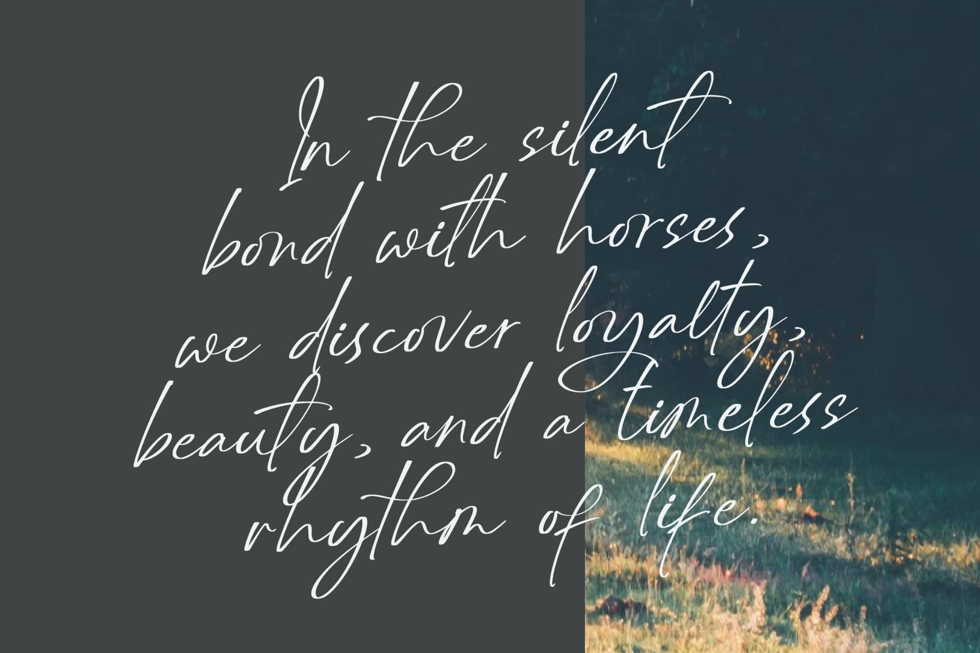 Preview 4 for Delynta Roastiph – Handwritten Ink Font