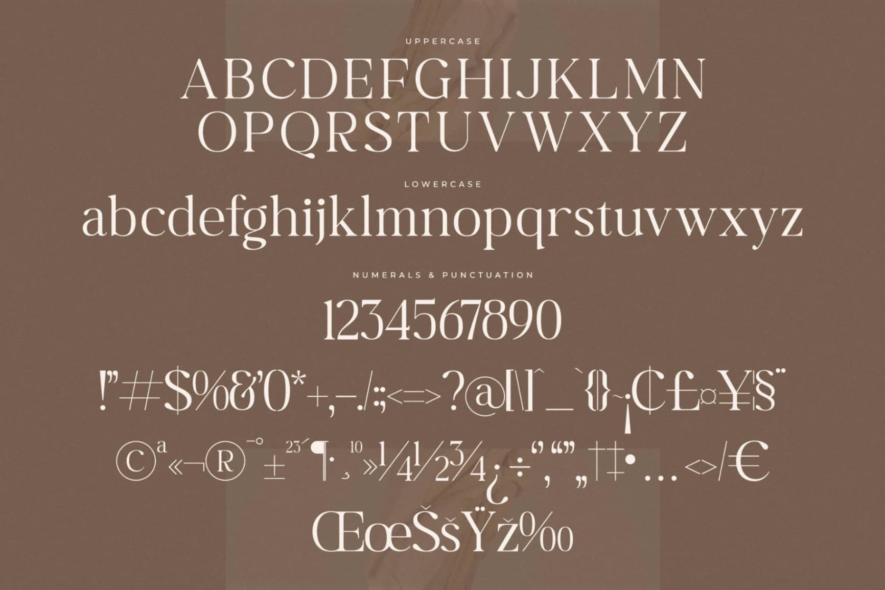 Preview 13 for Begifta New Modern Serif Font