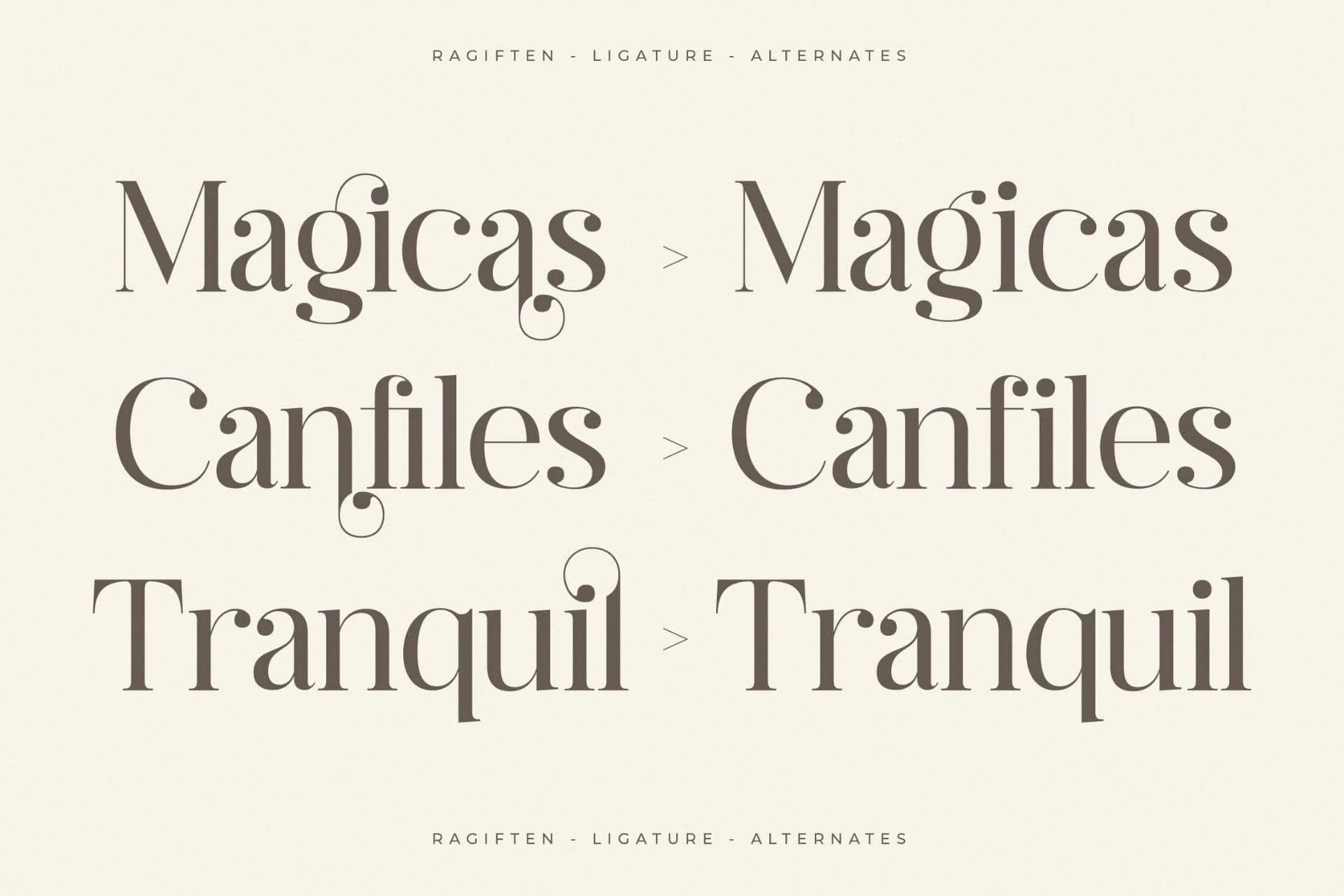 Preview 6 for Ragiften - Modern Serif Font
