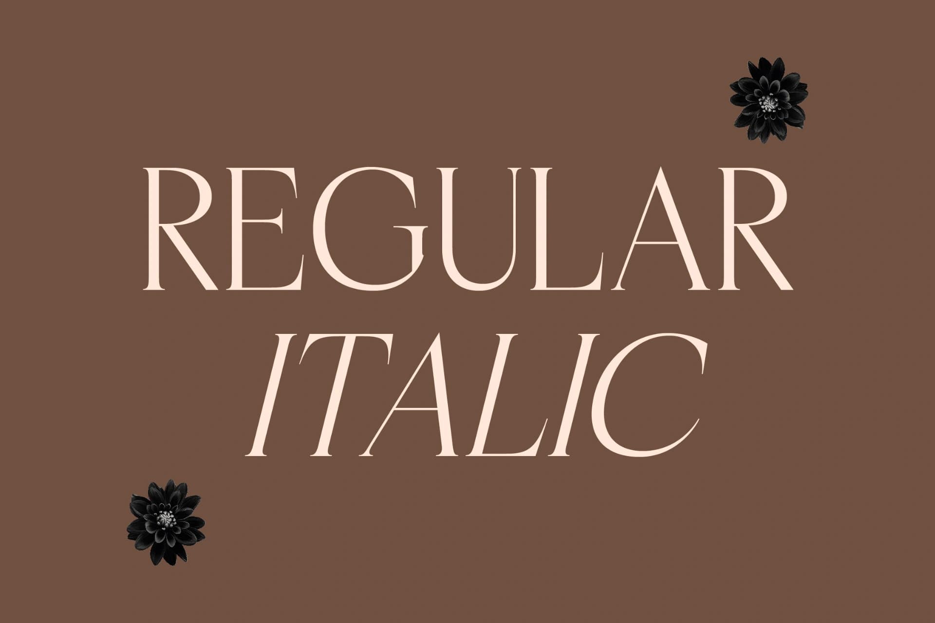 Preview 6 for Casselin – Modern Serif Font