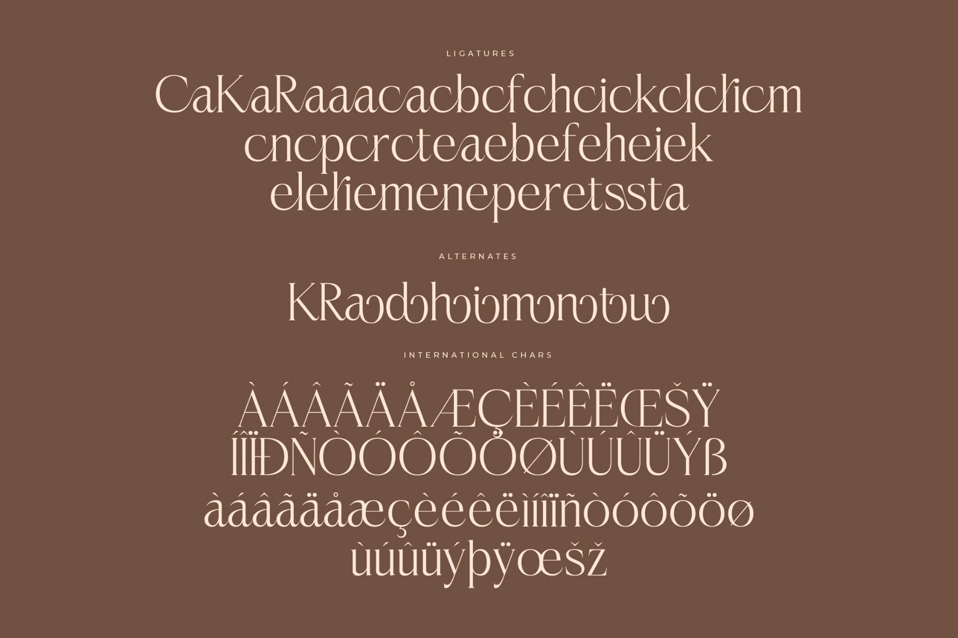 Preview 14 for Casselin – Modern Serif Font