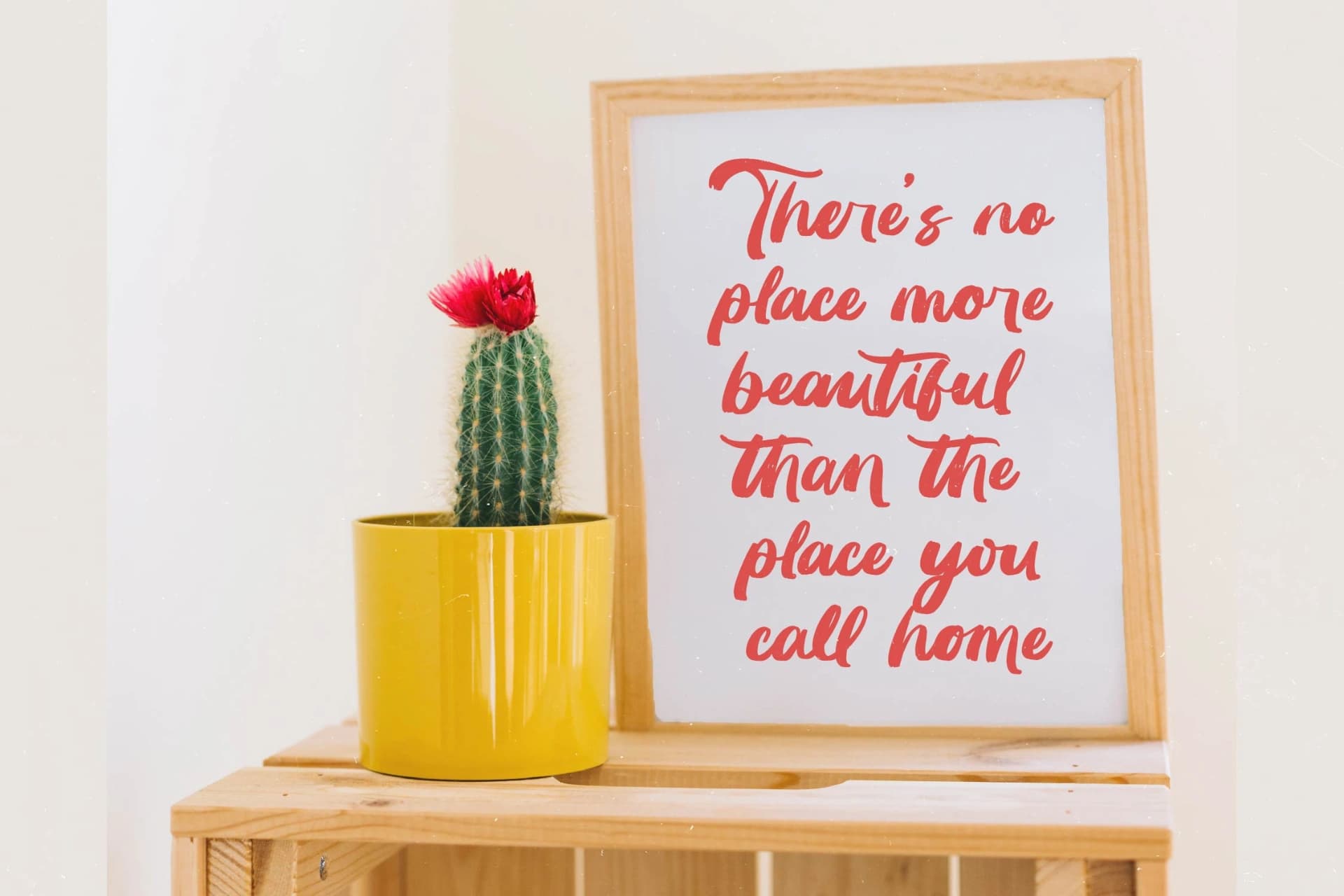 Preview 10 for Huntail Peach - Bold Brush Font