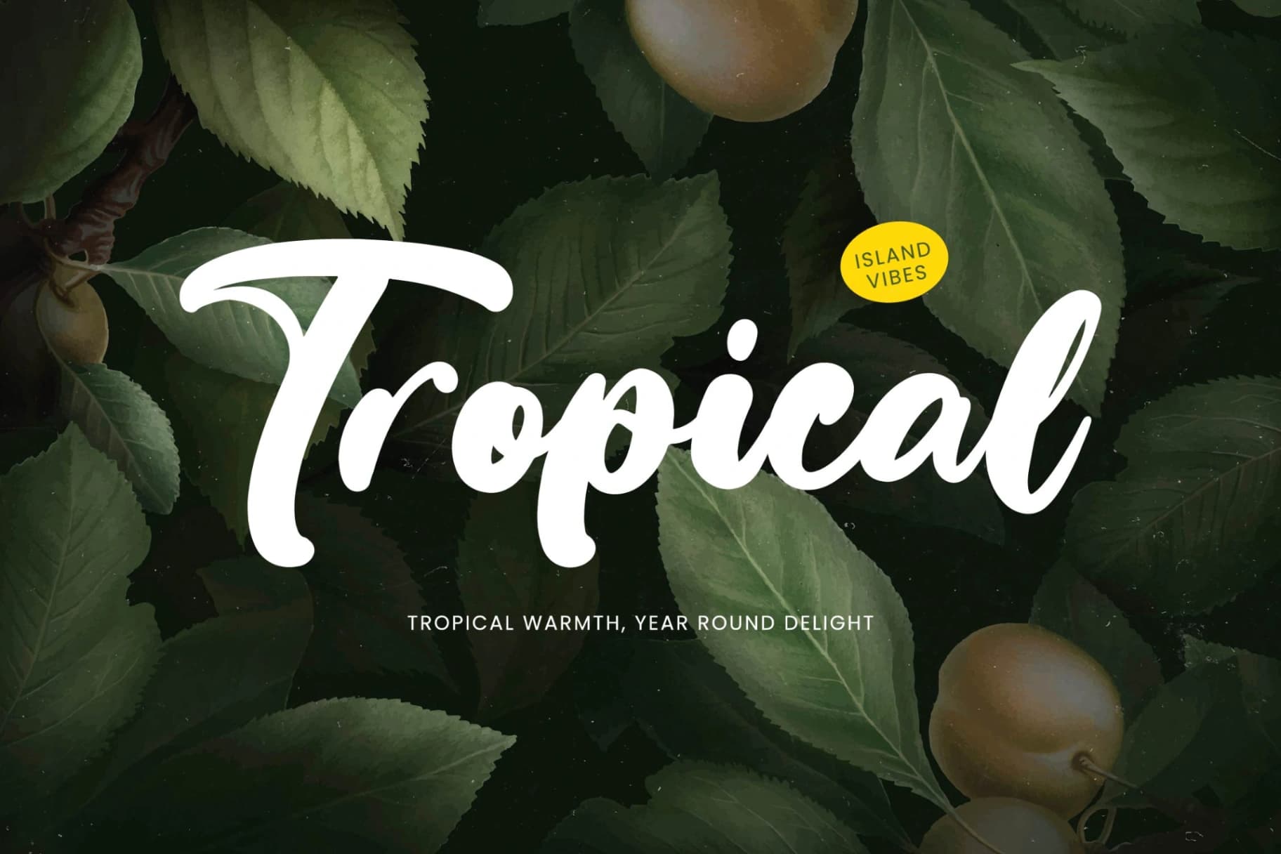 Preview 4 for Bumble Ritual - Bold Handwritten Font