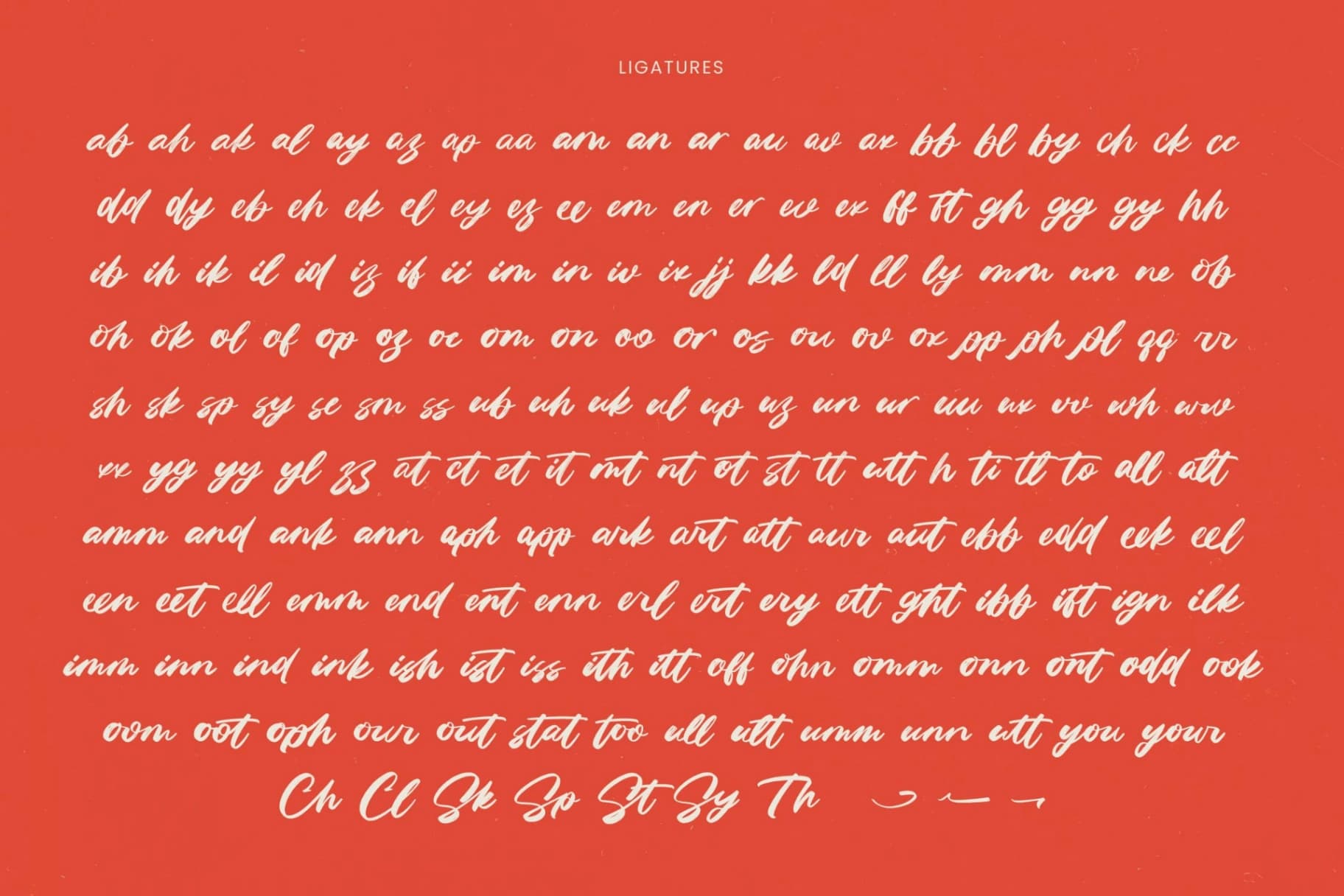 Preview 18 for Fasten Dhecta - Modern Brush Font