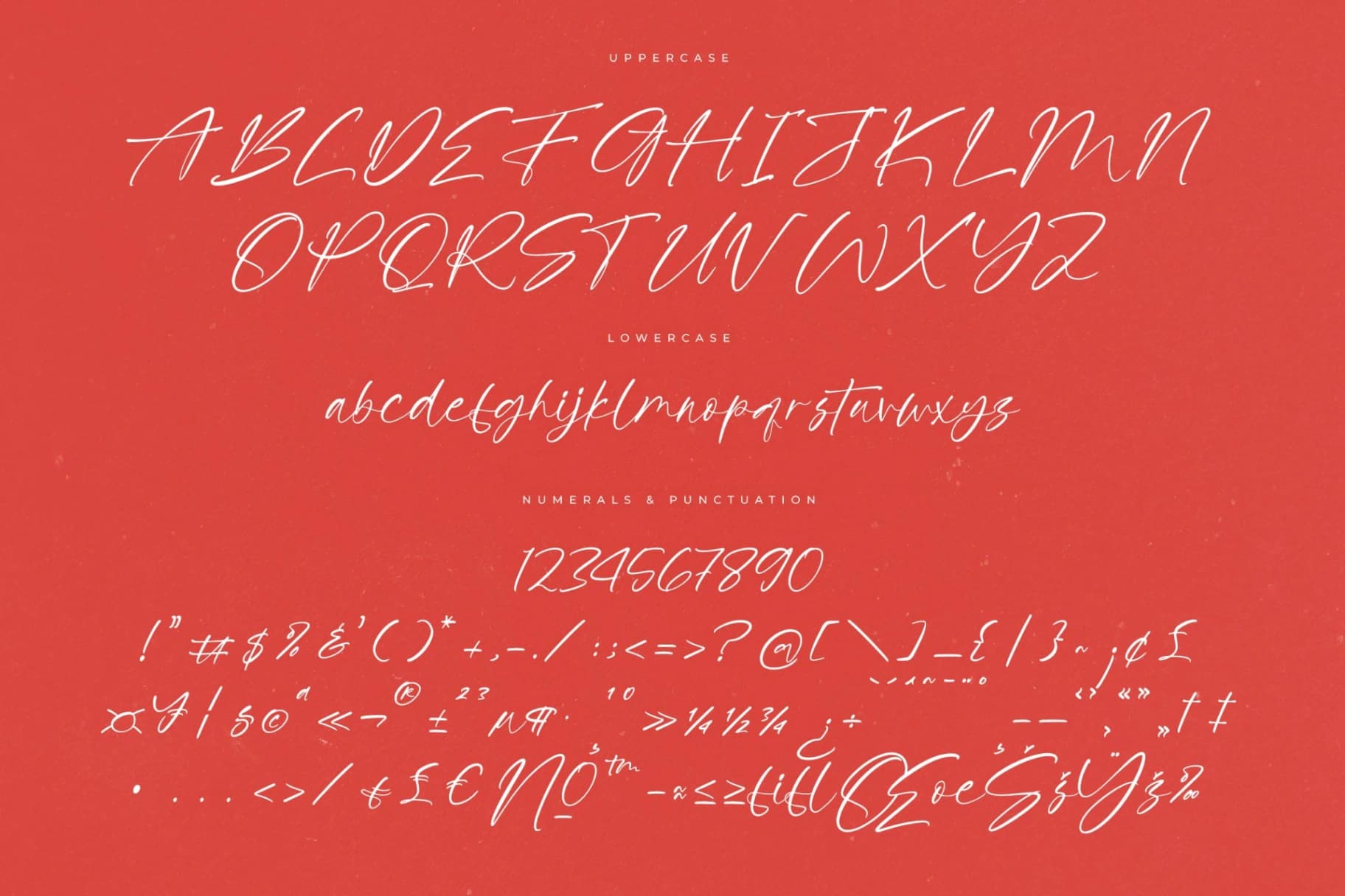 Preview 13 for Petalik Glisten – Modern Script Font