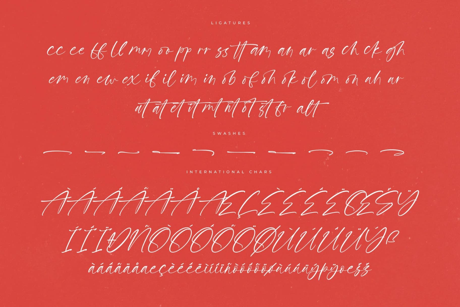 Preview 14 for Petalik Glisten – Modern Script Font