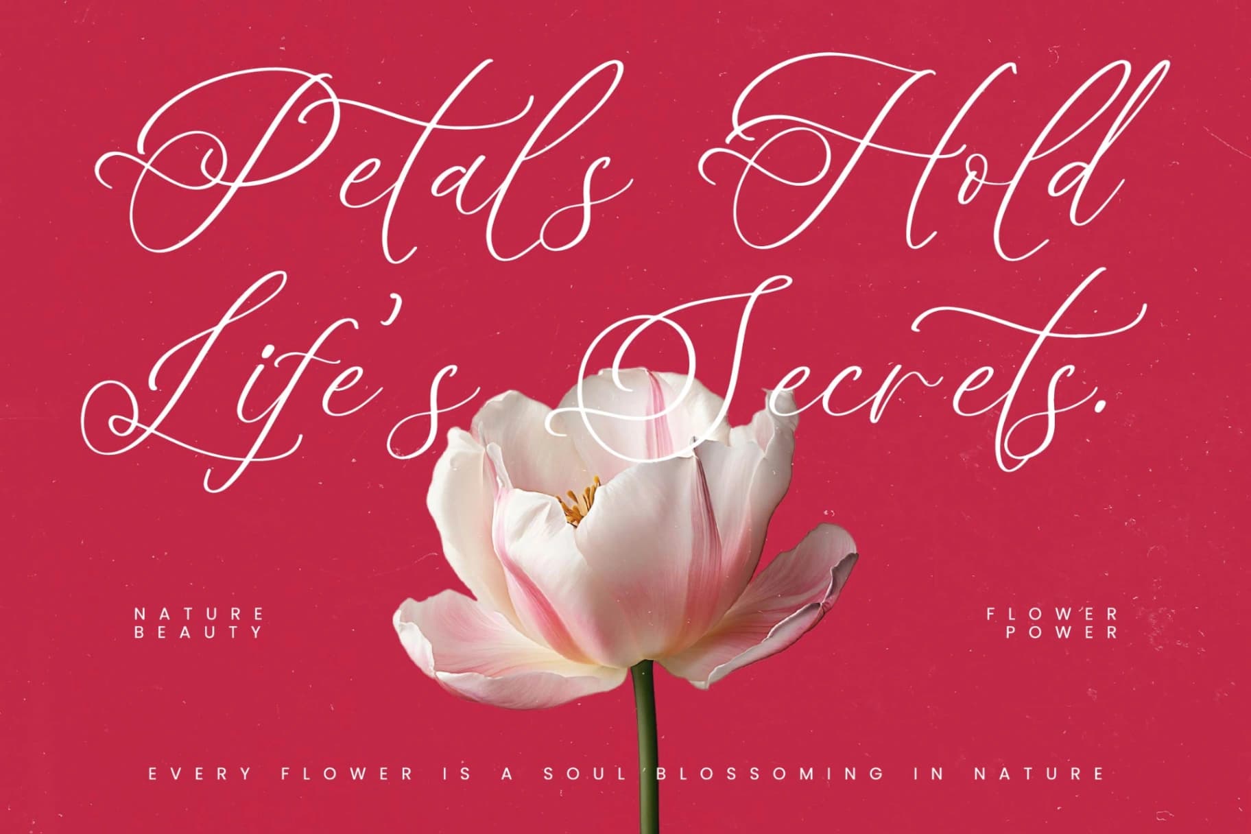 Preview 11 for Beladin Skintics – Modern Calligraphy Script