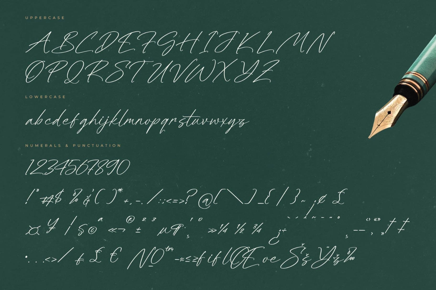 Preview 13 for Dignity Justice – Modern Script Font