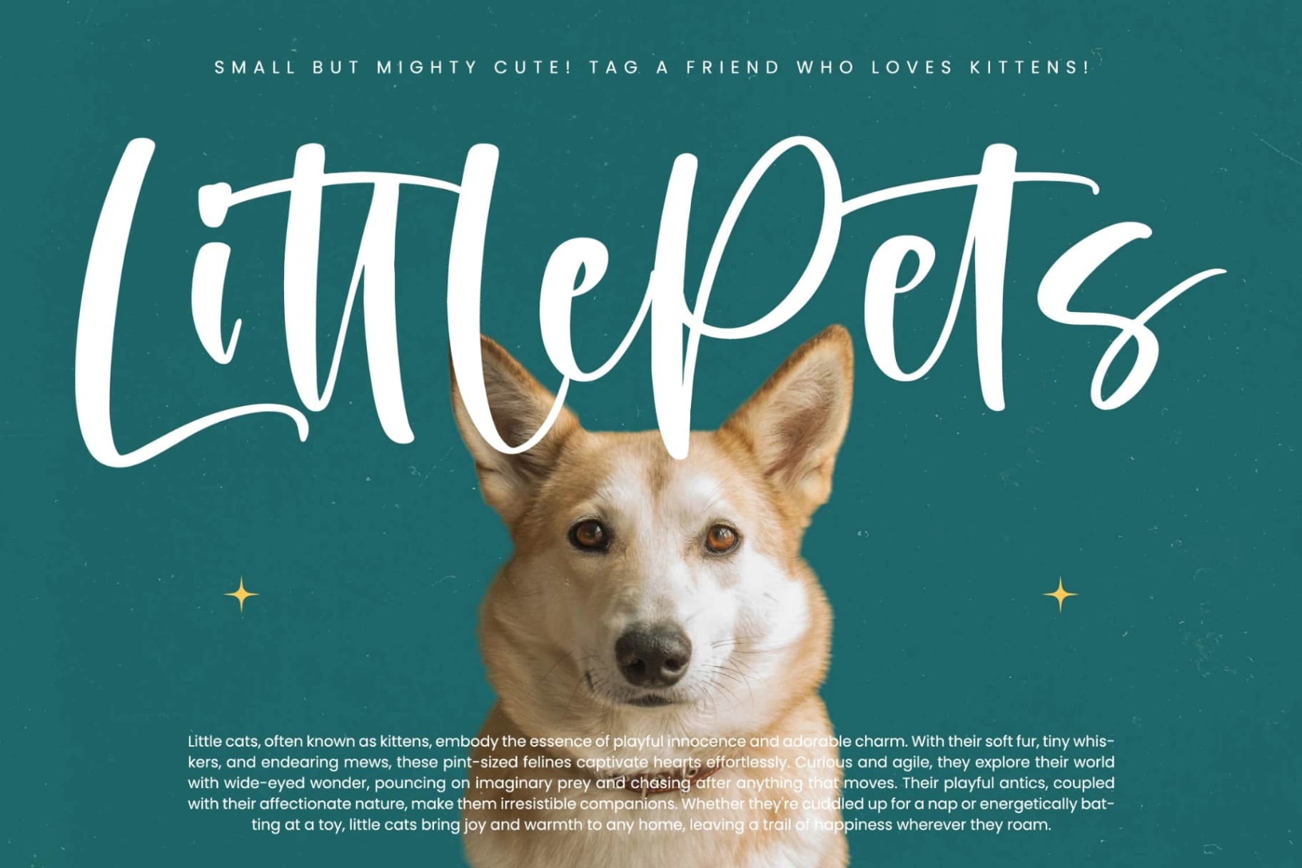 Preview 3 for Smiling Kittens – Modern Handwritten Font
