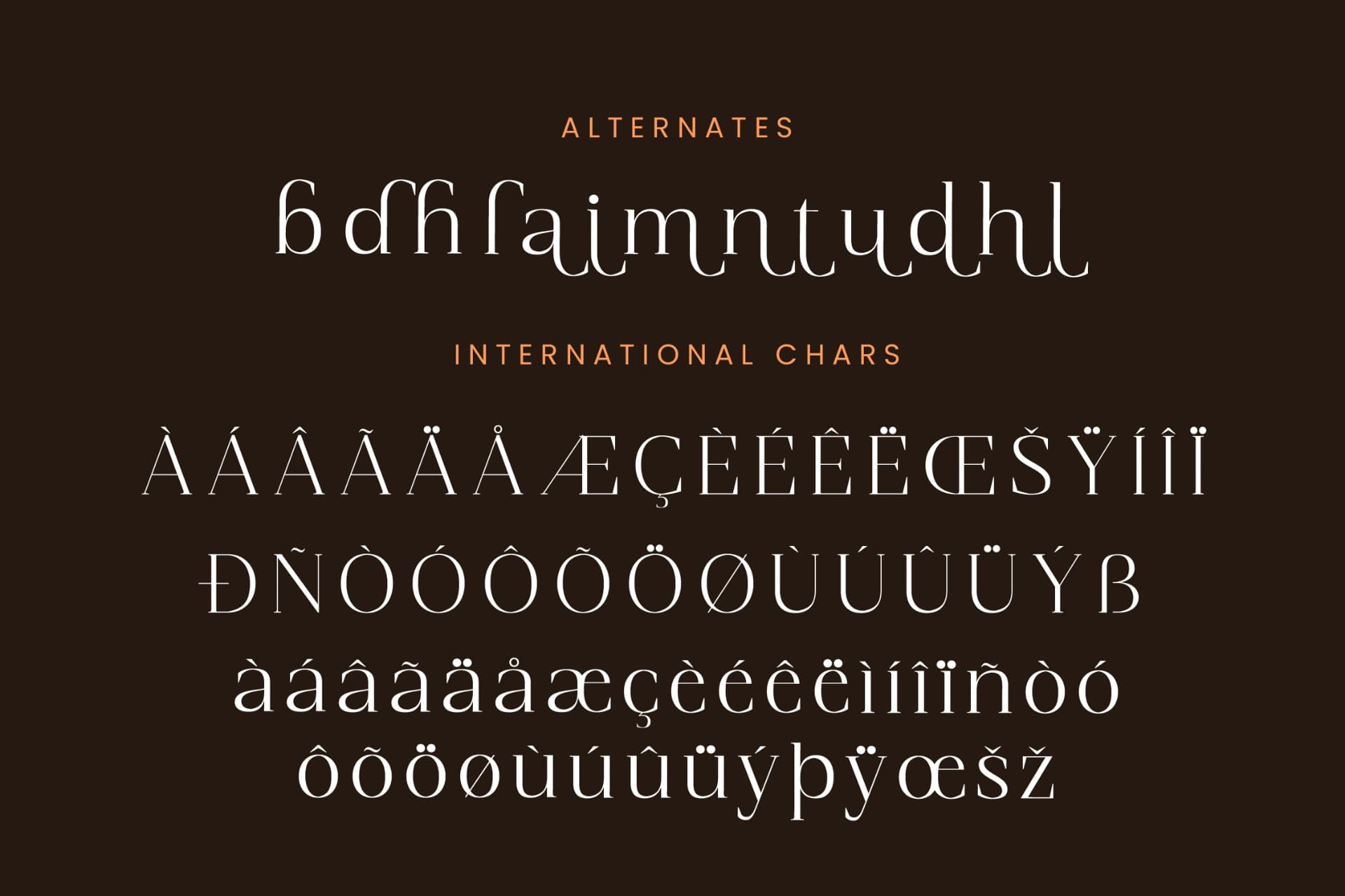 Preview 14 for Magnetic Azuhster – Minimalist Serif Font