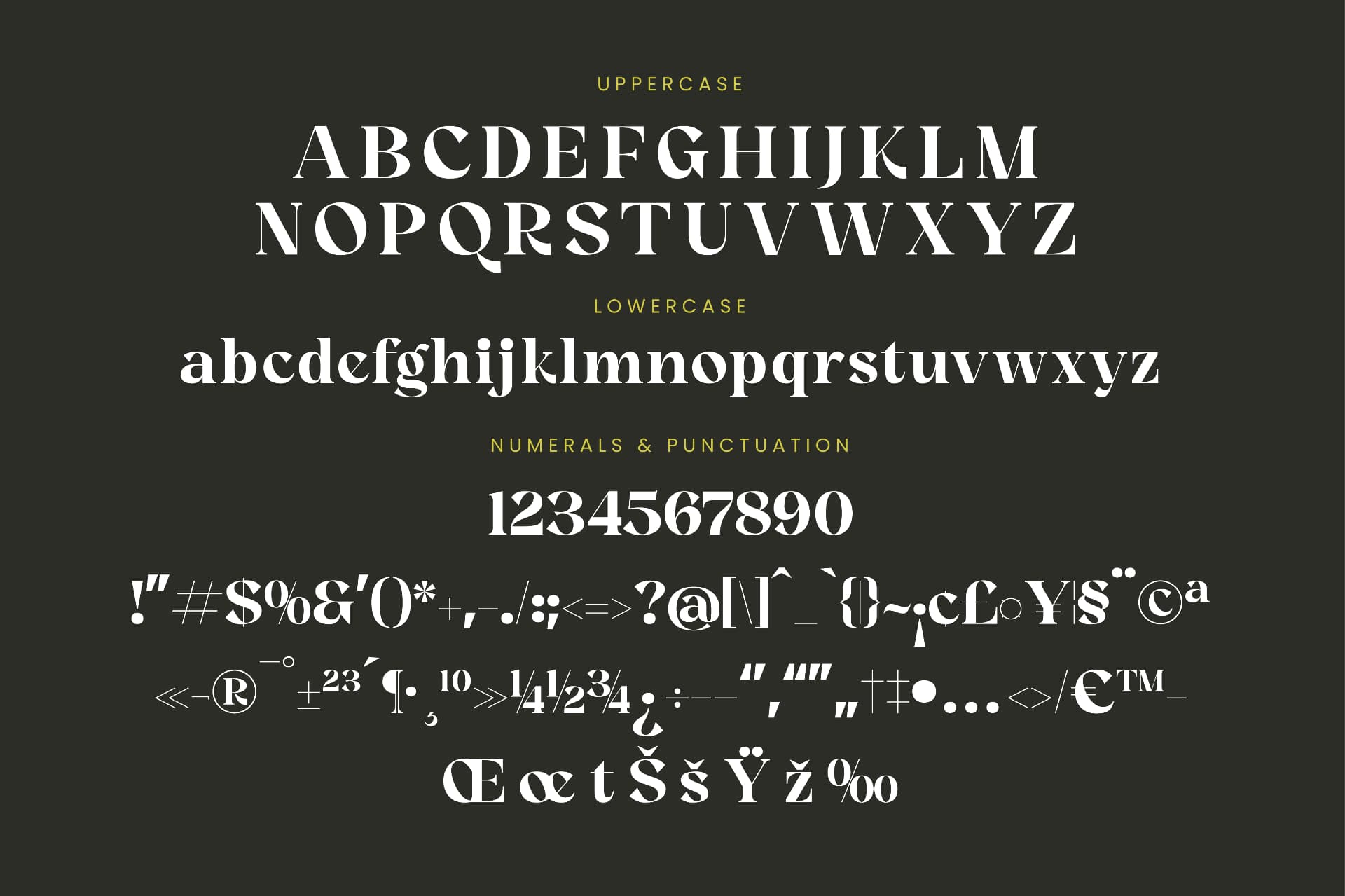 Preview 13 for Angfia Relaftio - Modern Serif Font