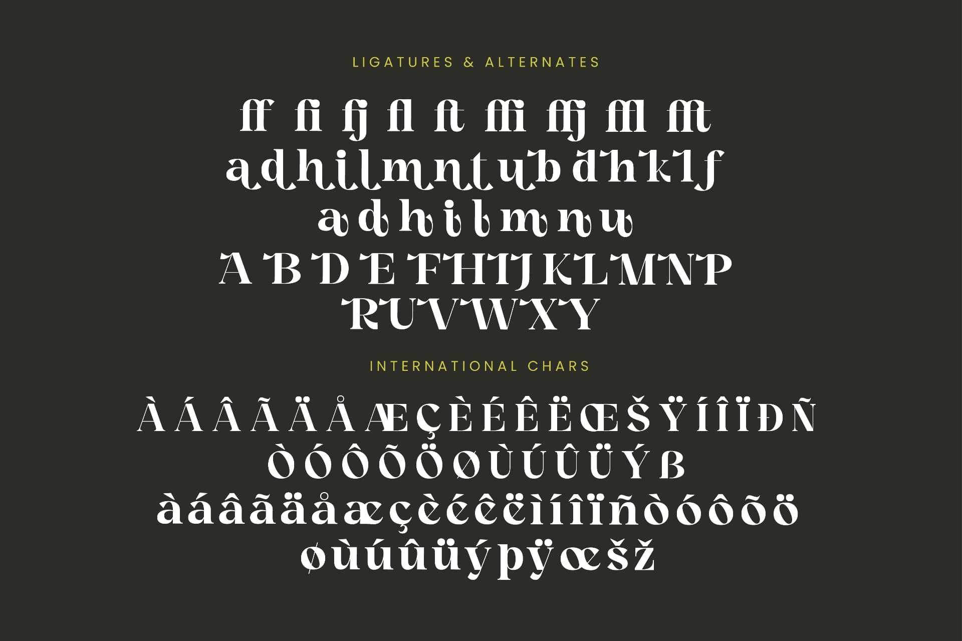 Preview 14 for Angfia Relaftio - Modern Serif Font