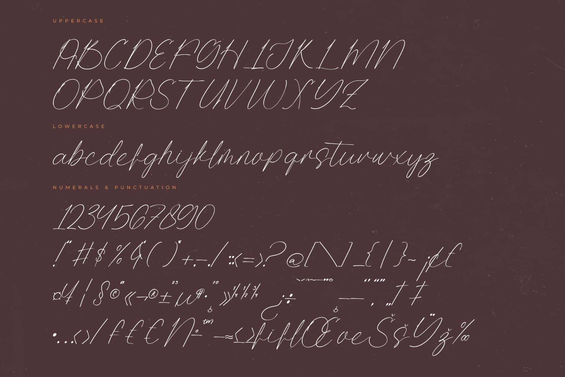 Preview 13 for Quality Nosting – Modern Signature Font