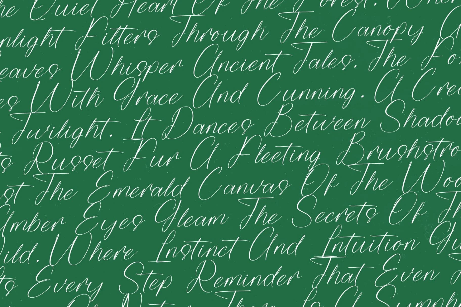Preview 8 for Trekfox Hunter – Modern Signature Font