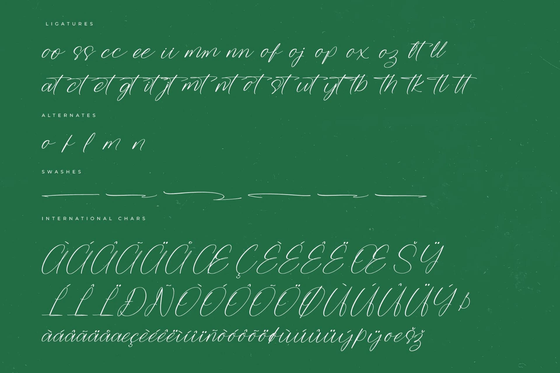 Preview 14 for Trekfox Hunter – Modern Signature Font