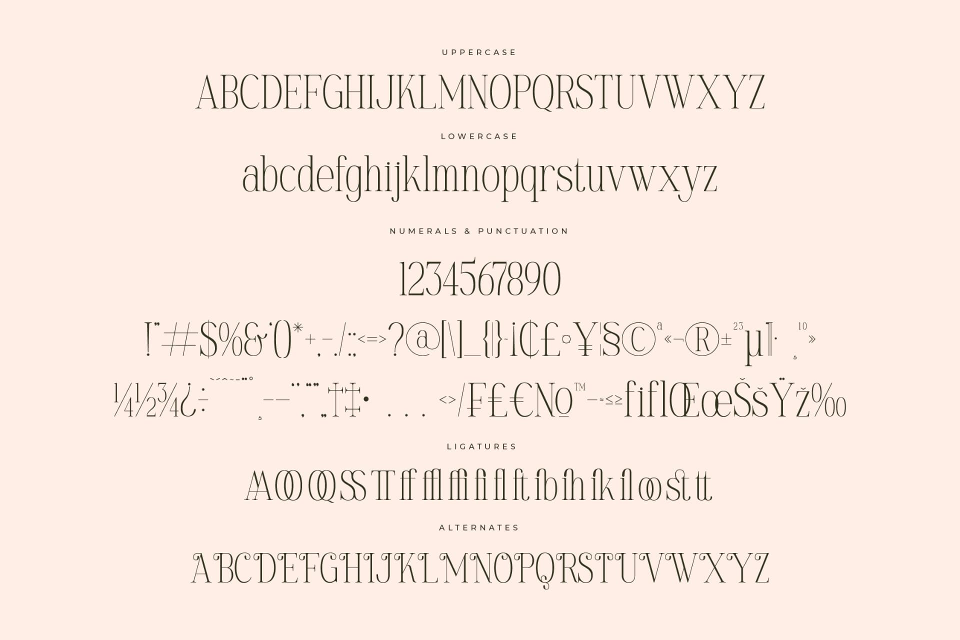 Preview 13 for Golastika – Modern Serif Font