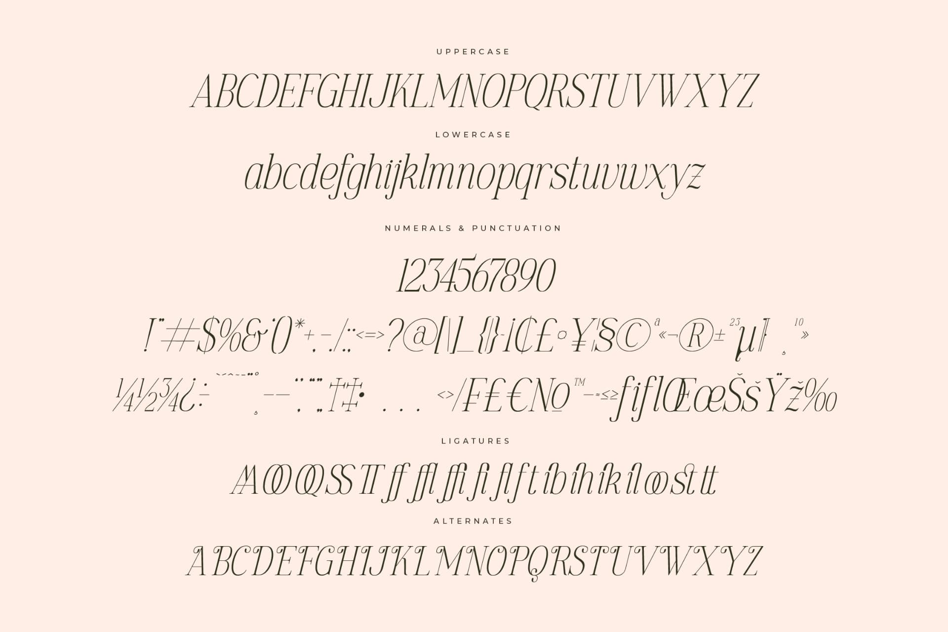 Preview 14 for Golastika – Modern Serif Font