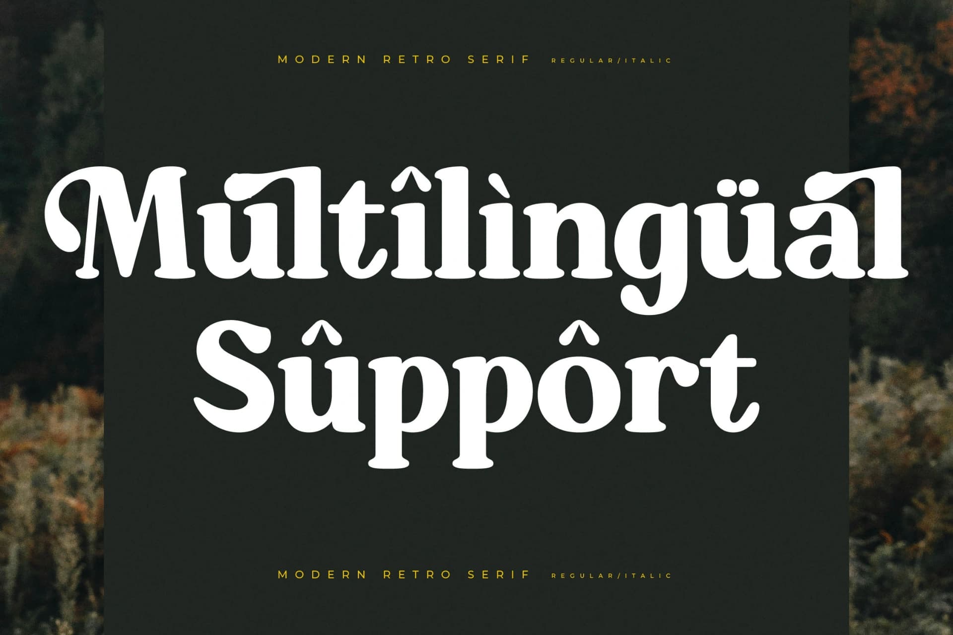 Preview 12 for Mistys Relrica – Modern Retro Serif