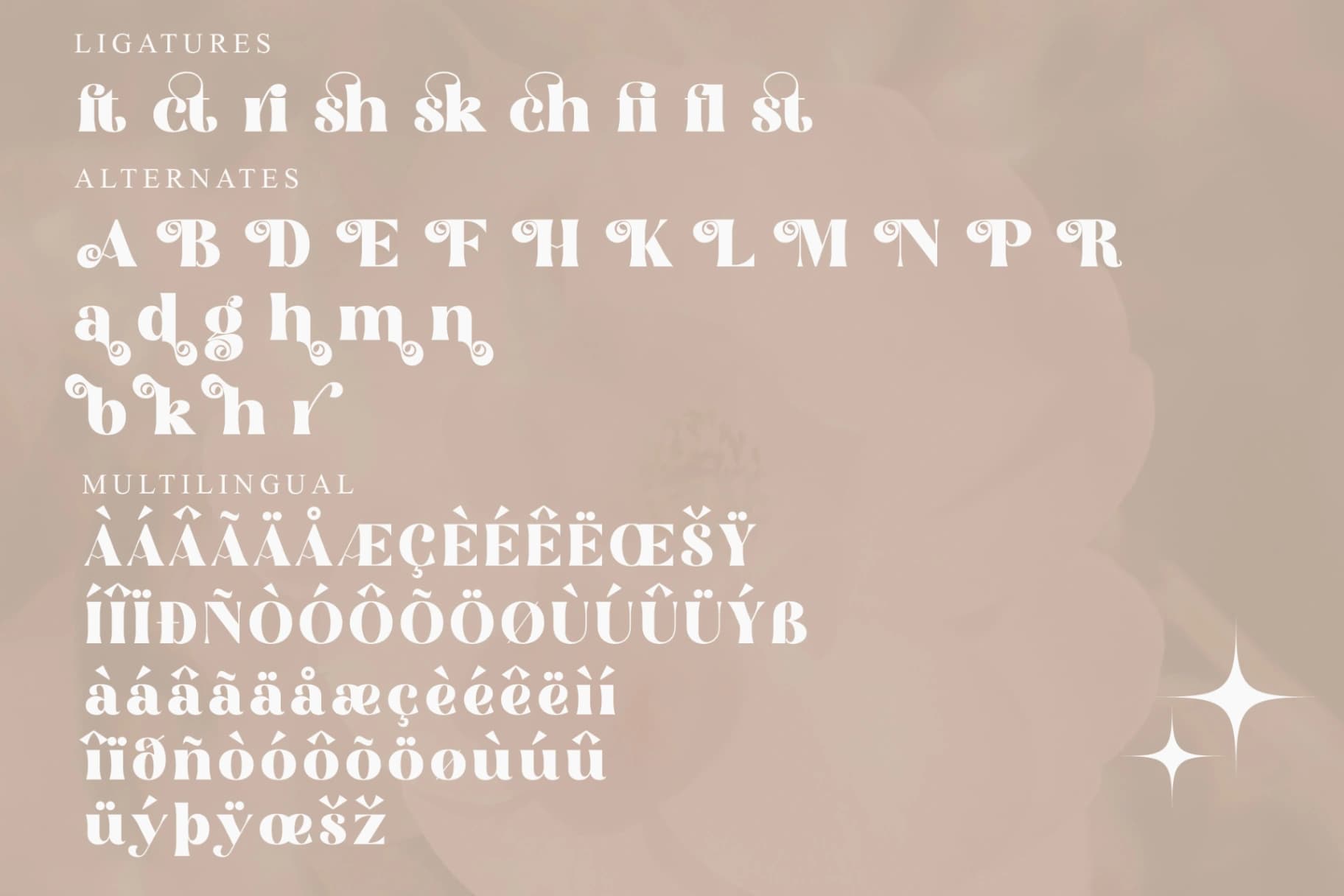 Preview 14 for Florals Bright - Serif Vintage Display