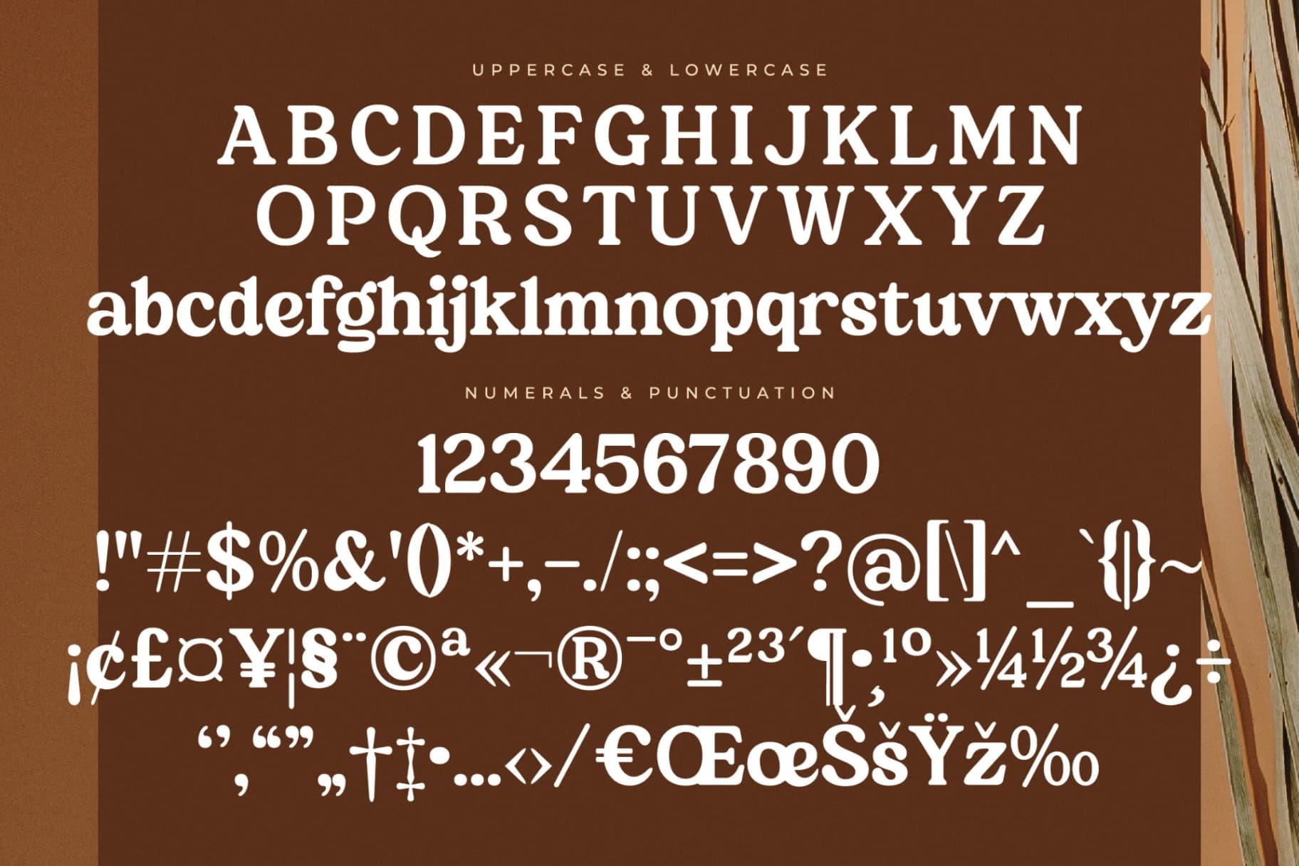 Preview 13 for Martin Breaks – Retro Serif Font