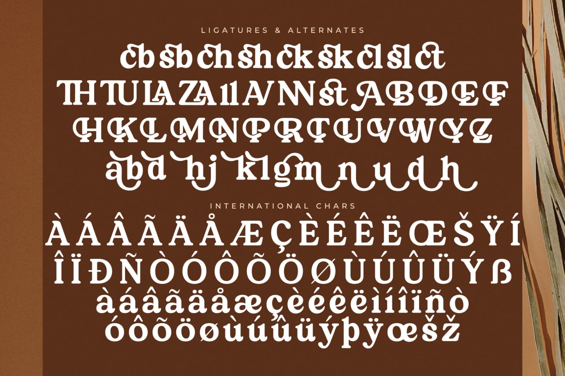 Preview 14 for Martin Breaks – Retro Serif Font