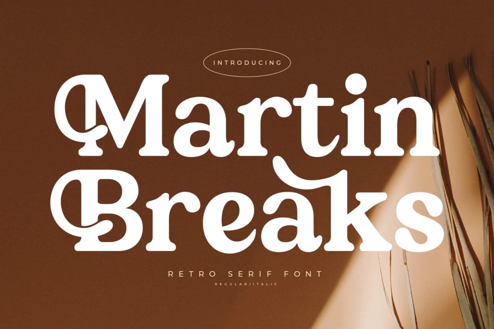 Preview 1 for Martin Breaks – Retro Serif Font